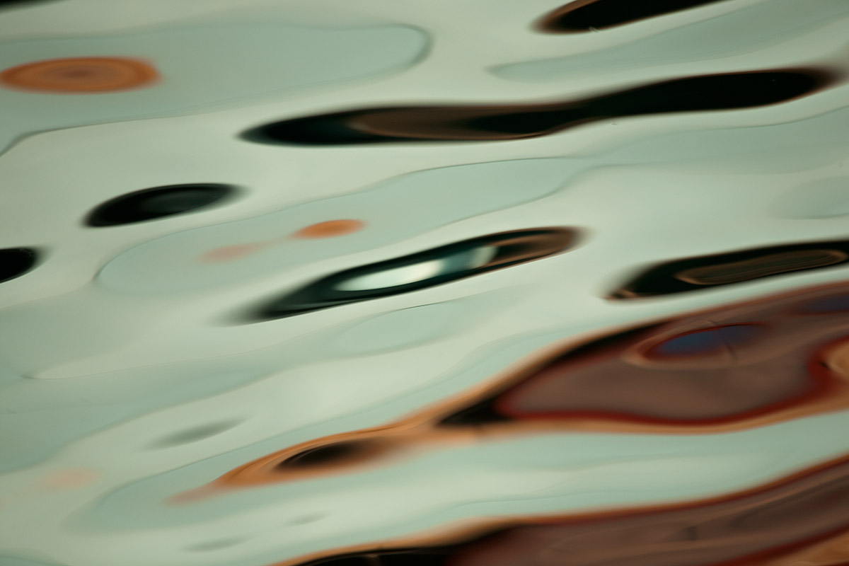 © 2011 Robin Ward. All Reproduction Rights Reserved.