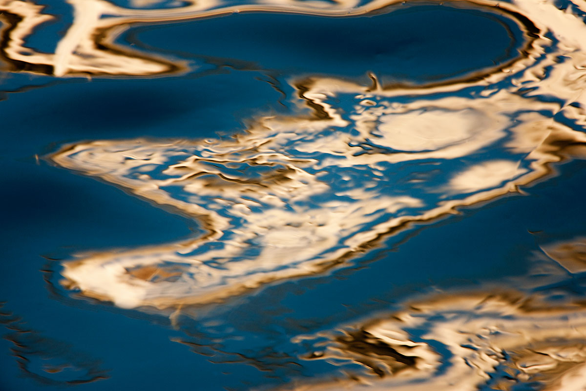 © 2011 Robin Ward. All Reproduction Rights Reserved.