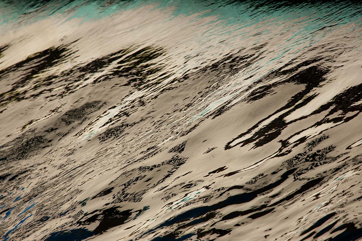 © 2011 Robin Ward. All Reproduction Rights Reserved.