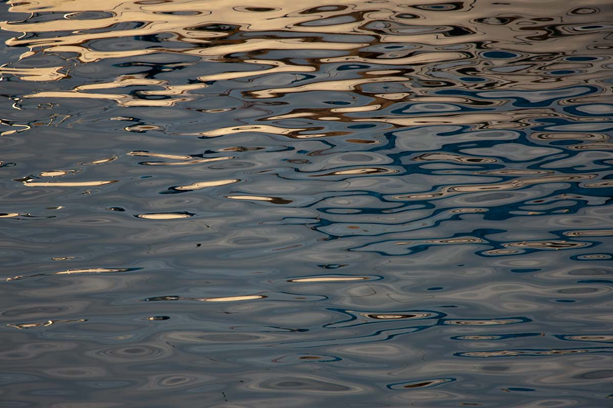 © 2011 Robin Ward. All Reproduction Rights Reserved.