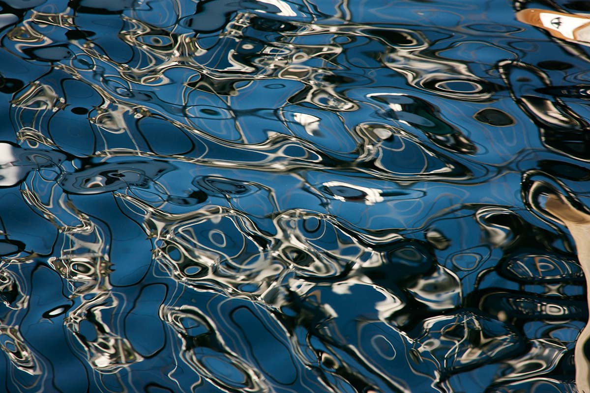 © 2011 Robin Ward. All Reproduction Rights Reserved.