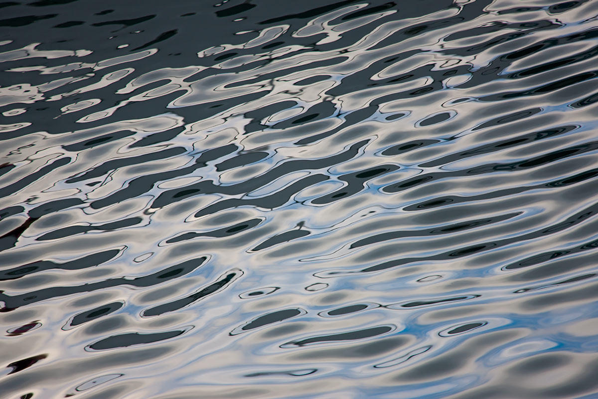 © 2011 Robin Ward. All Reproduction Rights Reserved.
