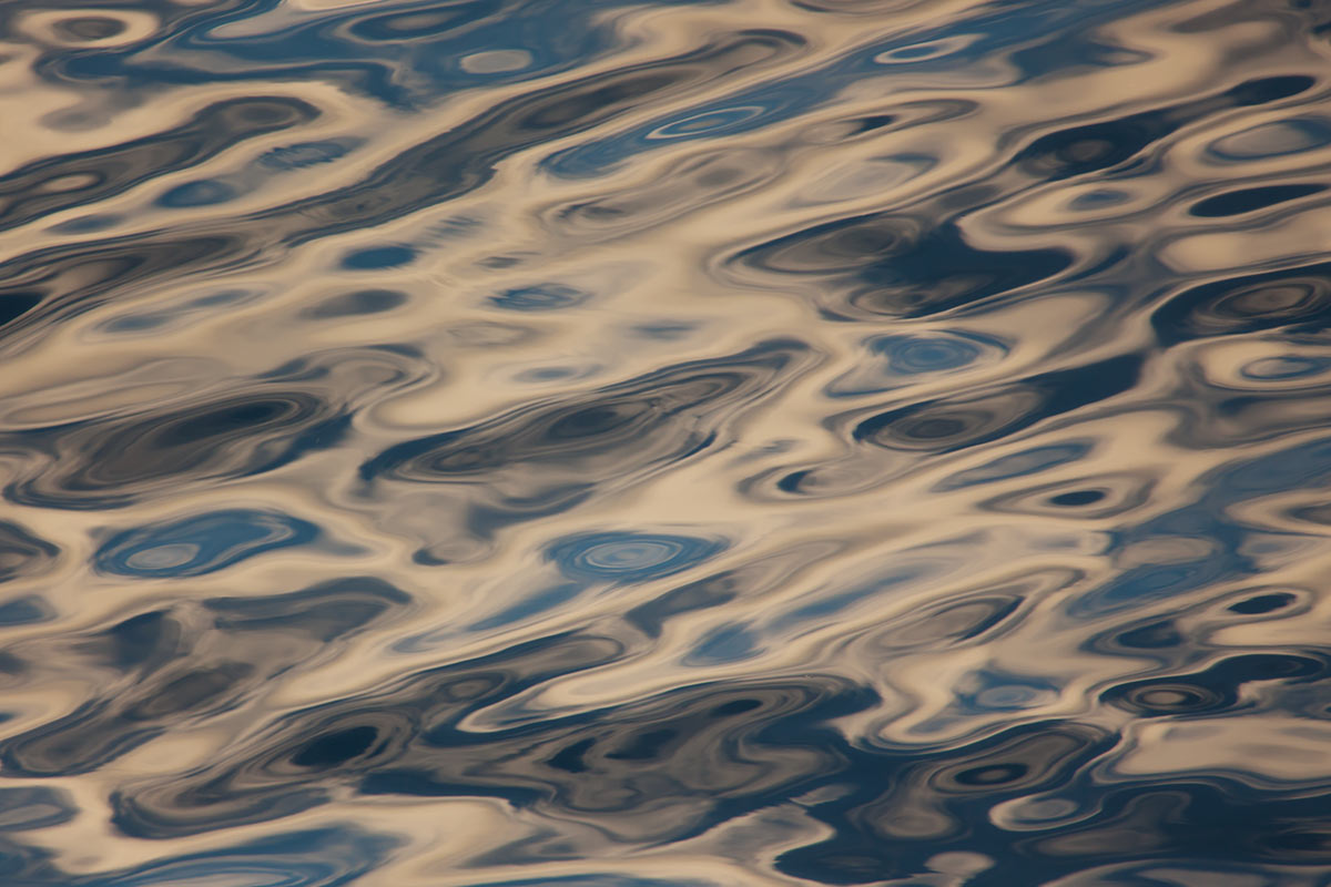 © 2011 Robin Ward. All Reproduction Rights Reserved.