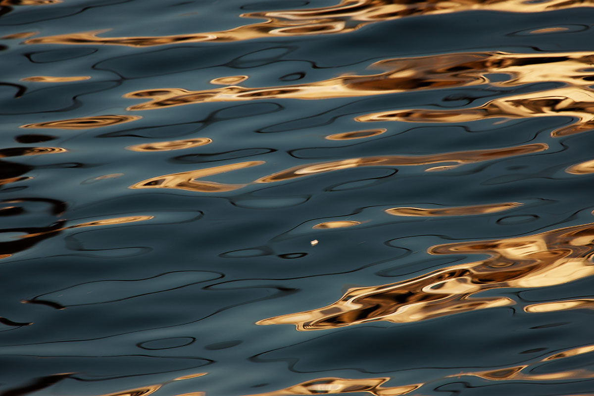 © 2011 Robin Ward. All Reproduction Rights Reserved.