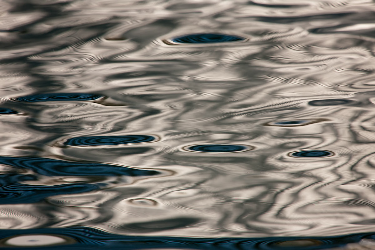 © 2011 Robin Ward. All Reproduction Rights Reserved.