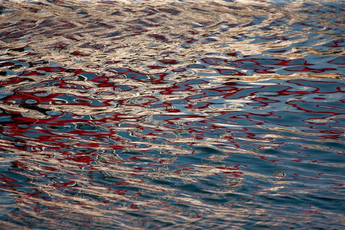 © 2011 Robin Ward. All Reproduction Rights Reserved.