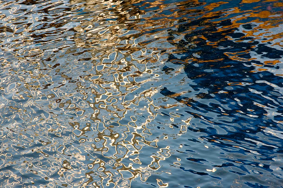  © 2011 Robin Ward. All Reproduction Rights Reserved. 