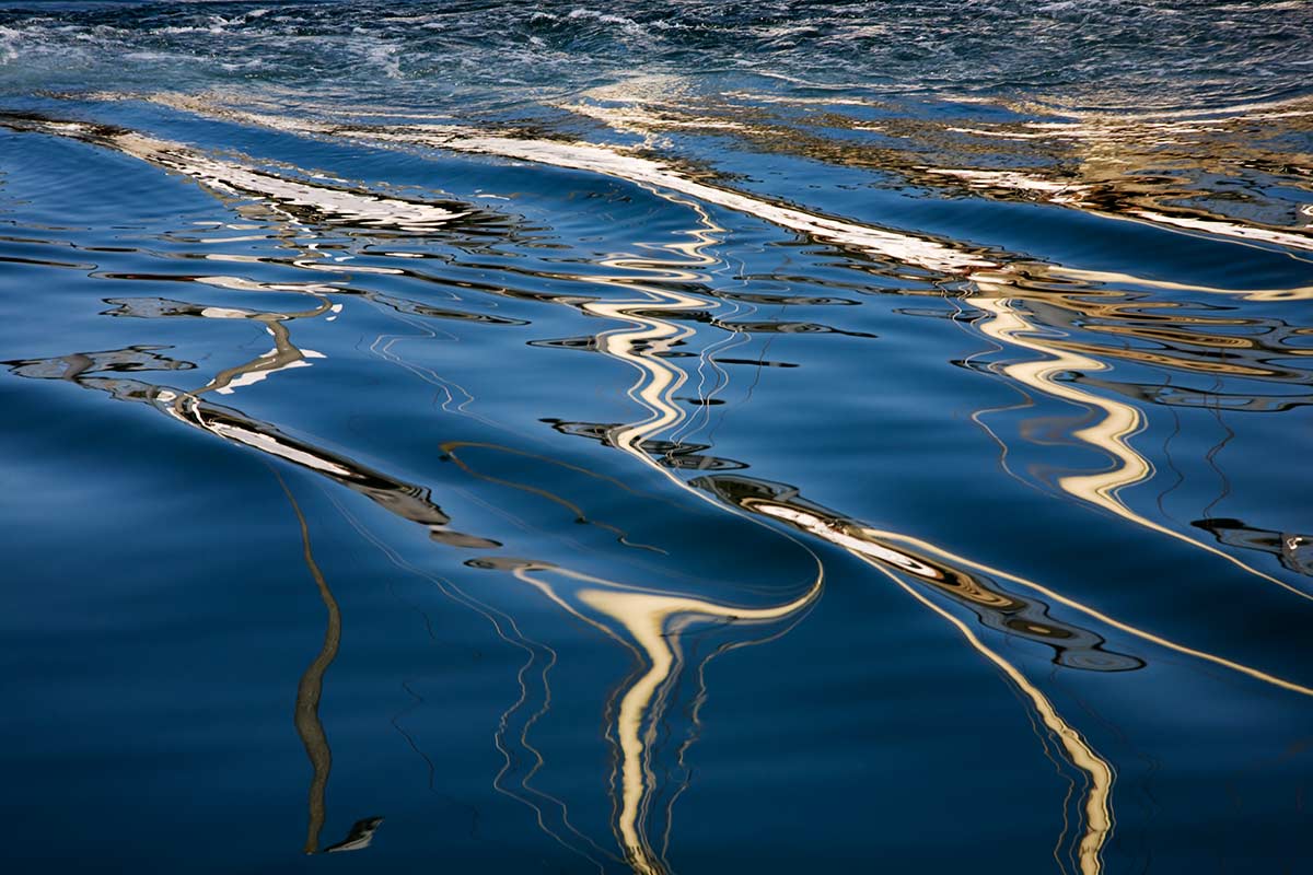 © 2011 Robin Ward. All Reproduction Rights Reserved.