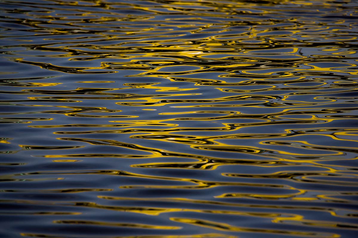 © 2011 Robin Ward. All Reproduction Rights Reserved.