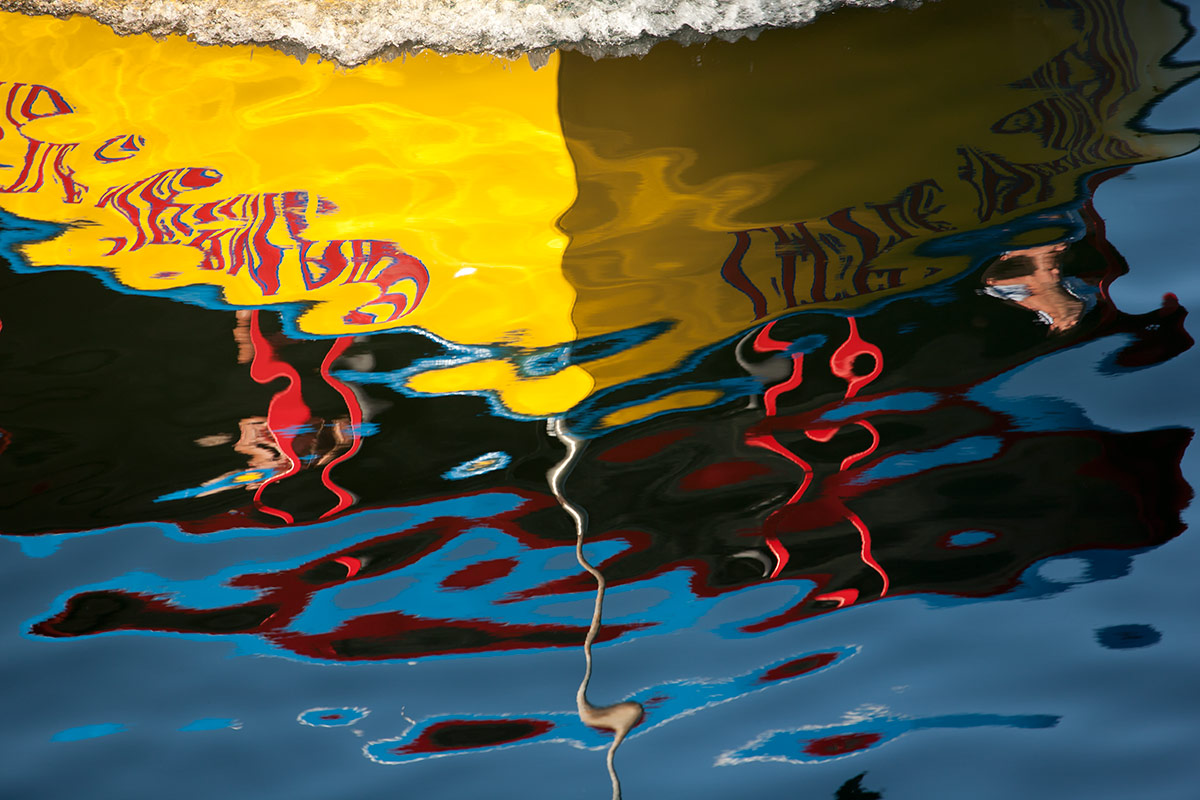 © 2011 Robin Ward. All Reproduction Rights Reserved.