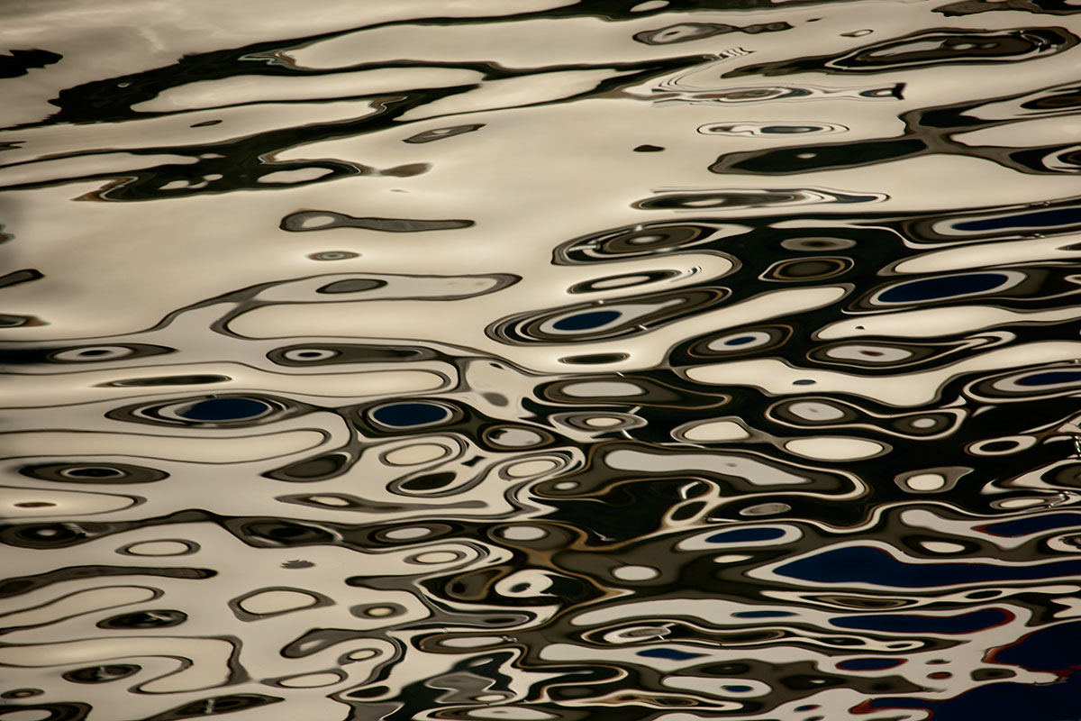 © 2011 Robin Ward. All Reproduction Rights Reserved.