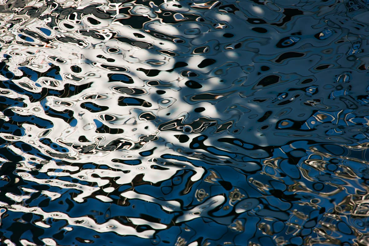 © 2011 Robin Ward. All Reproduction Rights Reserved.