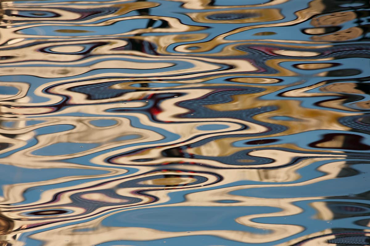 © 2014 Robin Ward. All Reproduction Rights Reserved.