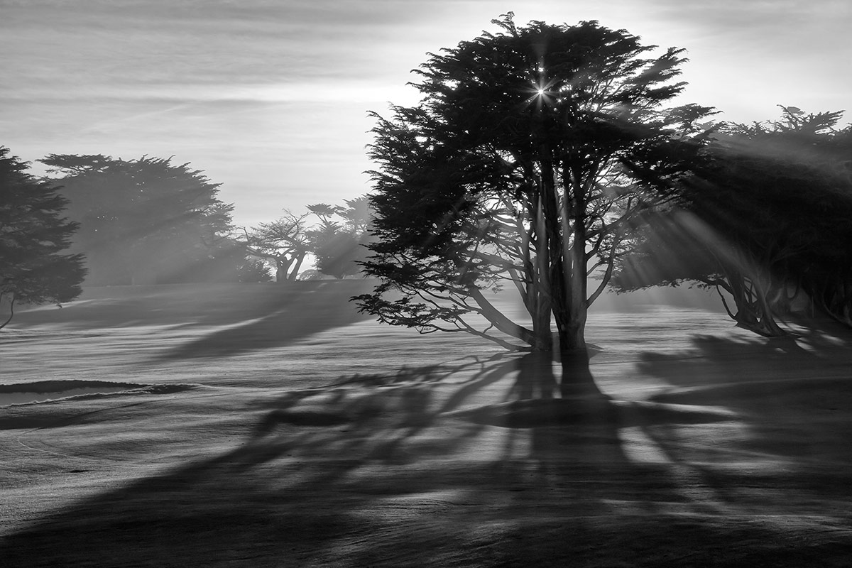 © 2015 Robin Ward. All Reproduction Rights Reserved.