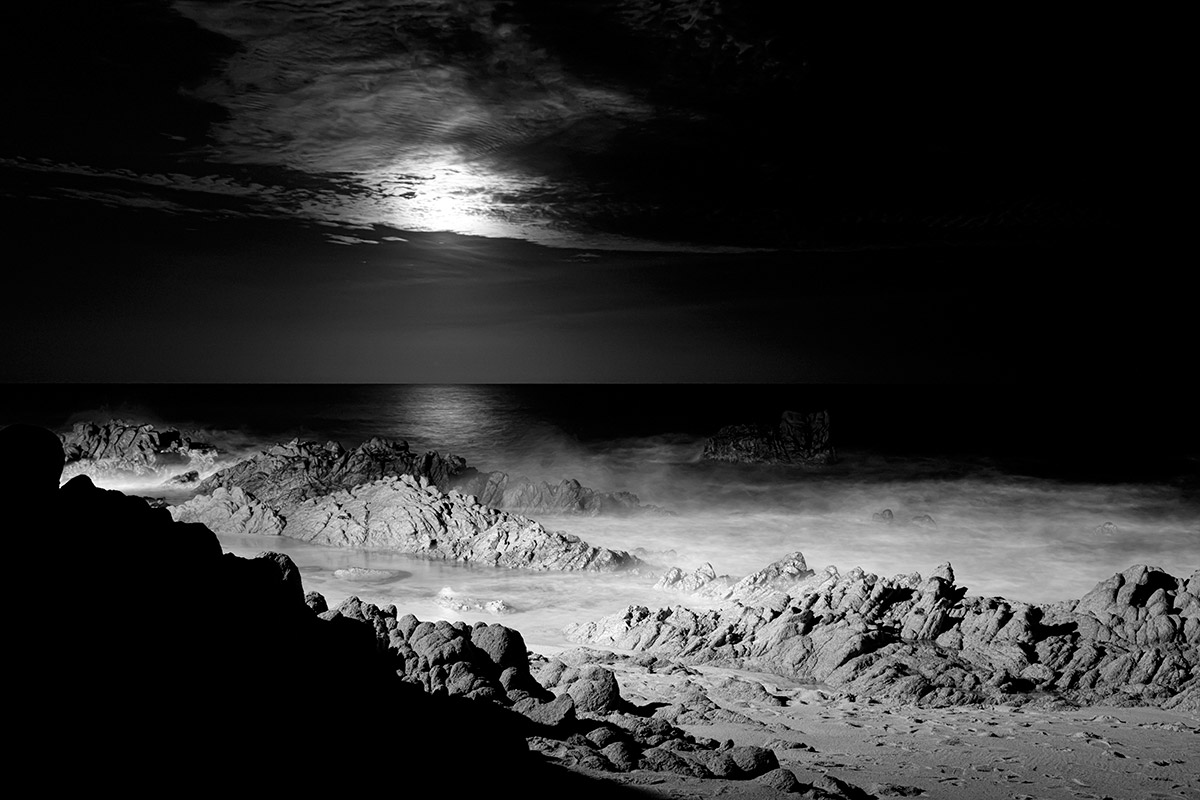 © 2015 Robin Ward. All Reproduction Rights Reserved.