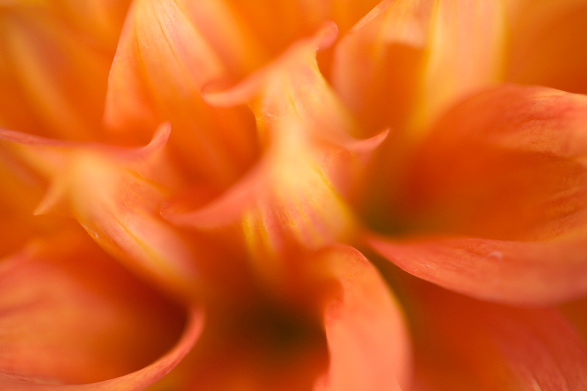 © 2011 Robin Ward. All Reproduction Rights Reserved.