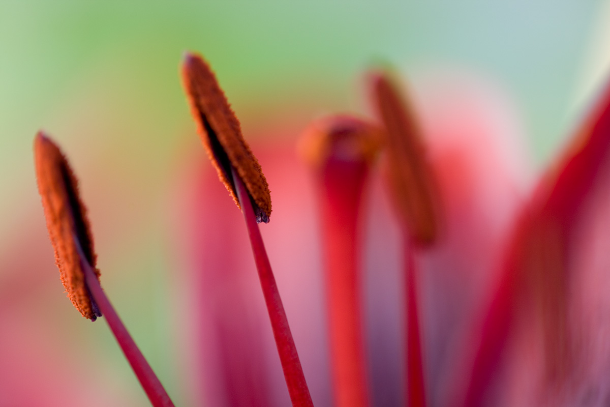 © 2010 Robin Ward. All Reproduction Rights Reserved.