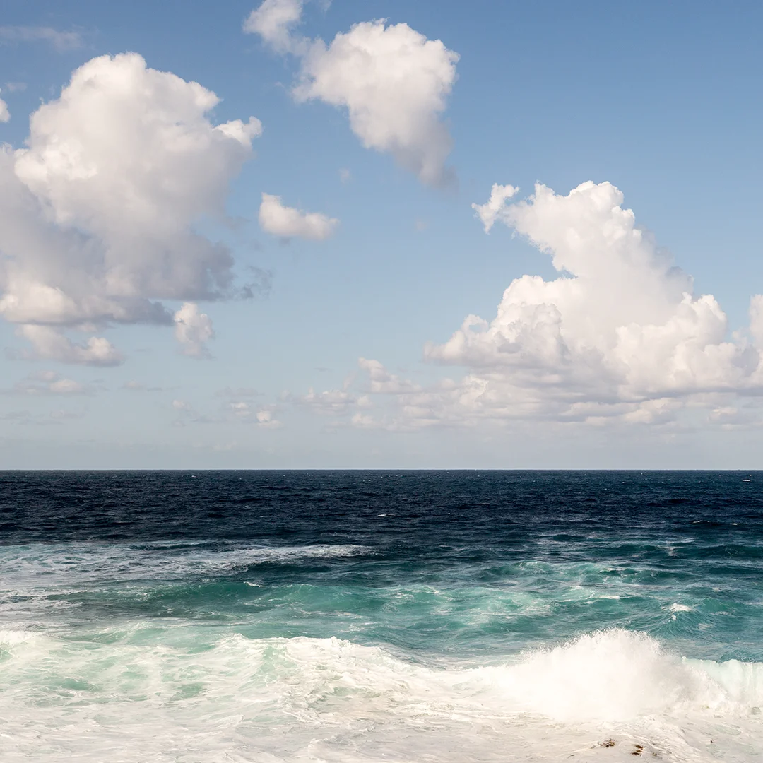 robinward-lajolla6.jpg