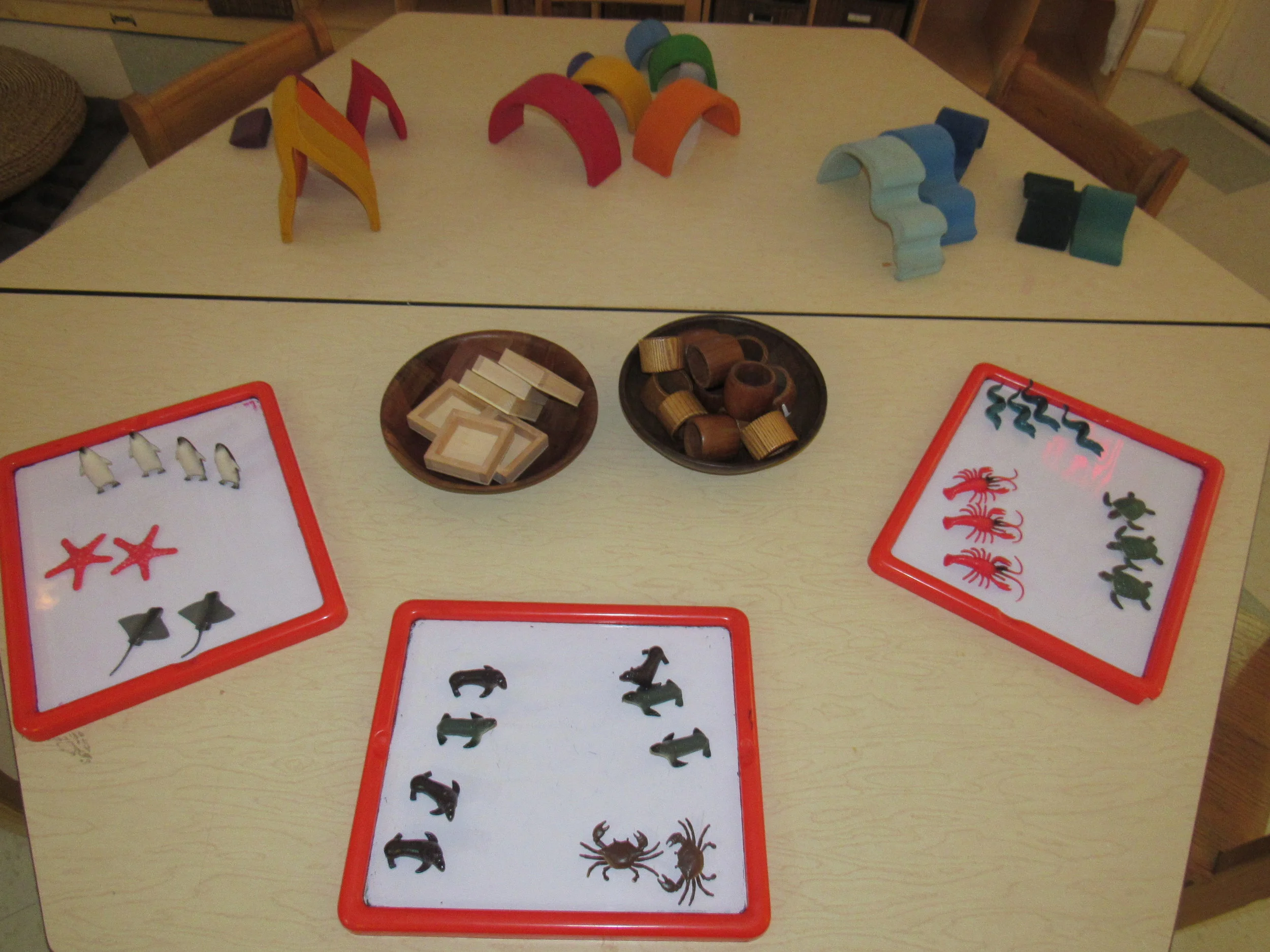 Starting our Schedules