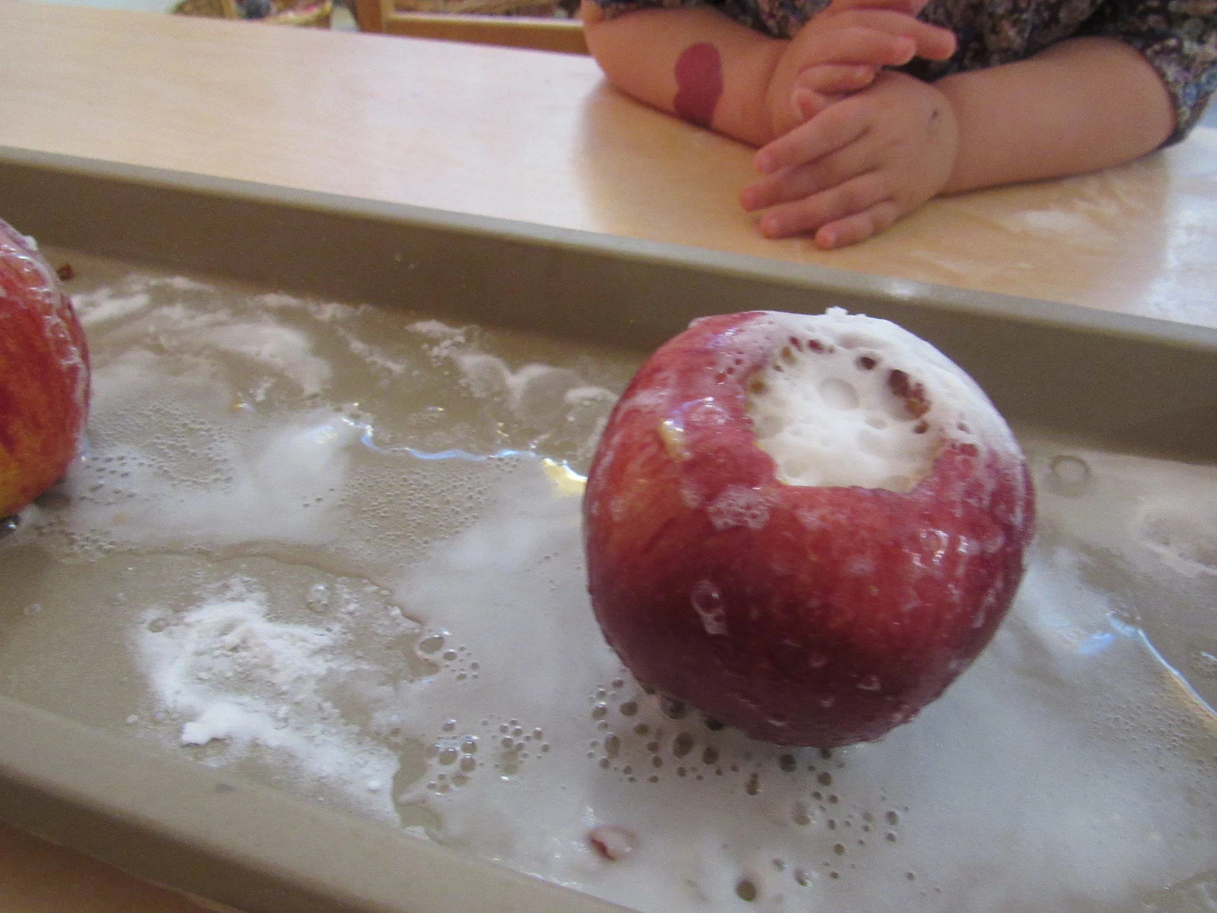 Bringing Nature Inside