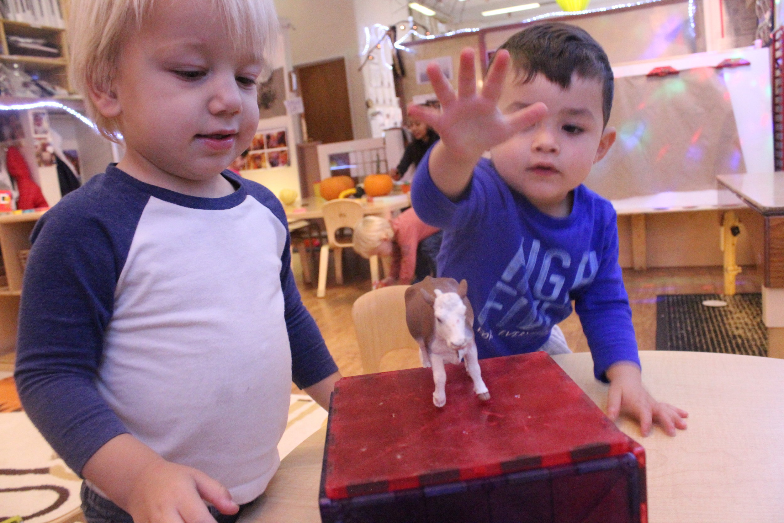  Every morning upon entering the 2A classroom, Nicholas requests to build "A house!". Nicholas always spends a great deal of time on his magna-tile "houses" and loves to put animals inside of them. Emilio, of course always loves to jump into whatever