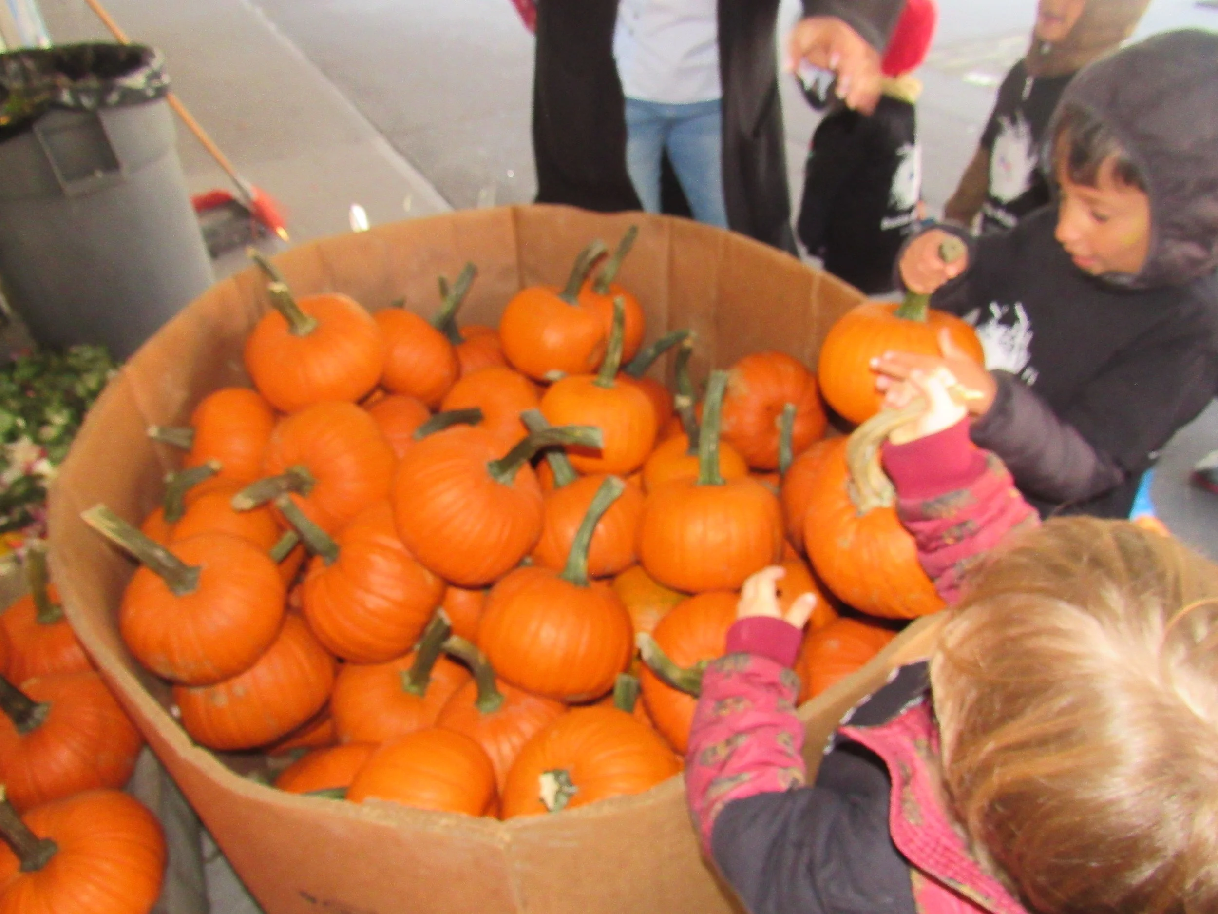 Weekly Recap 10/16-10/20