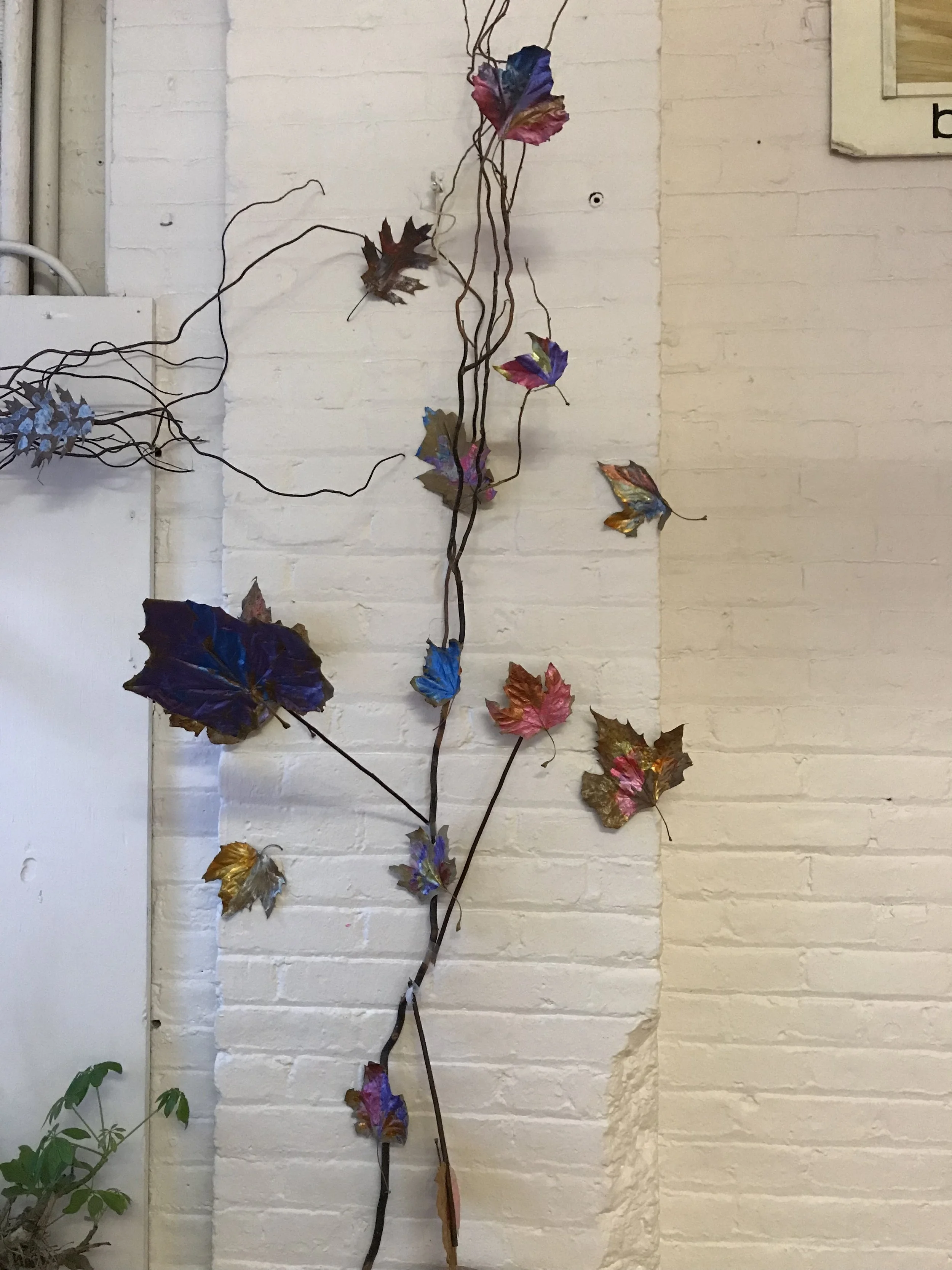 Weekly Recap 11/20-11/24