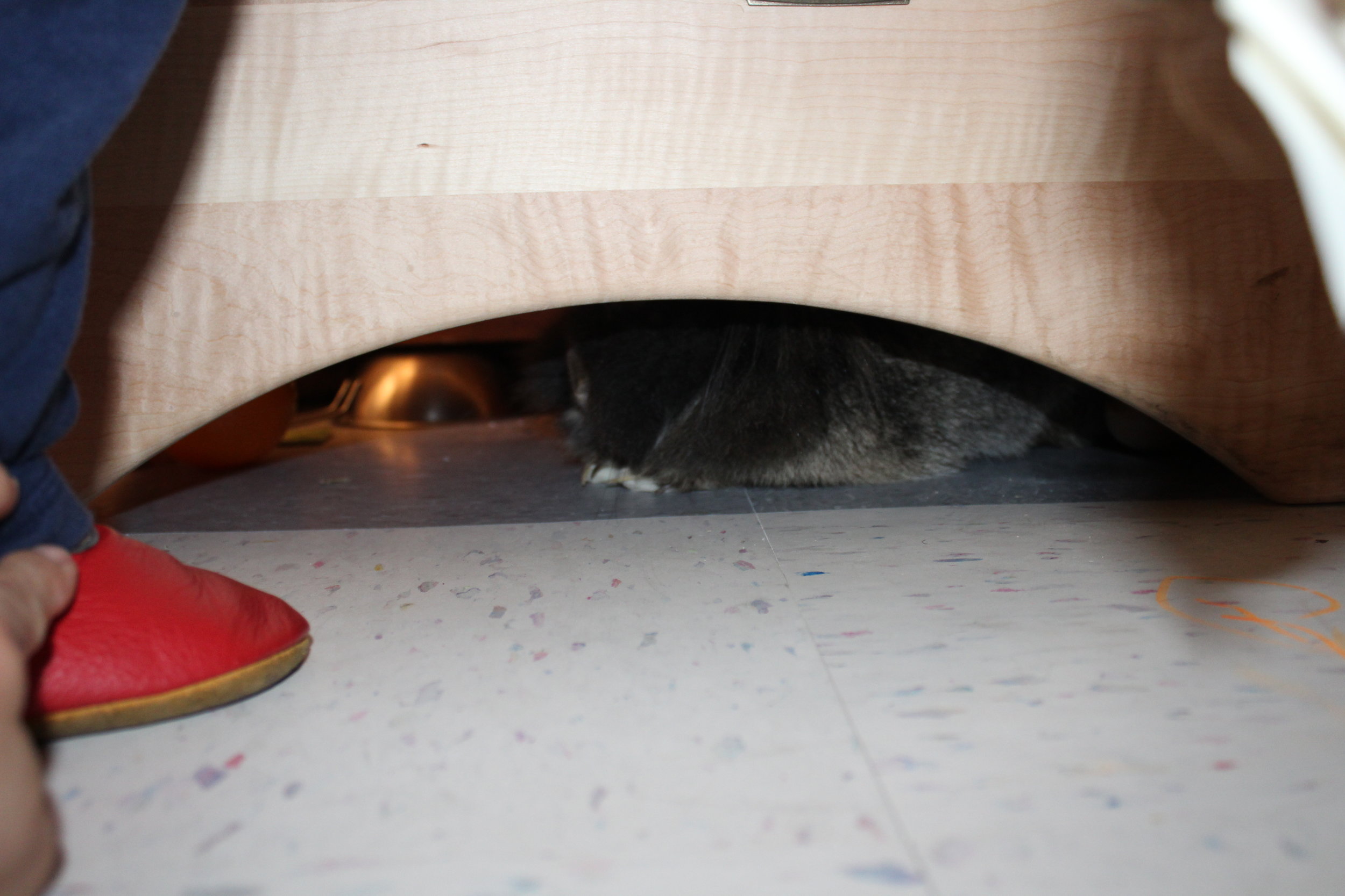  As Ellis (red shoe) explores the kitchen center, Pinky remains quiet under the stove!&nbsp; 