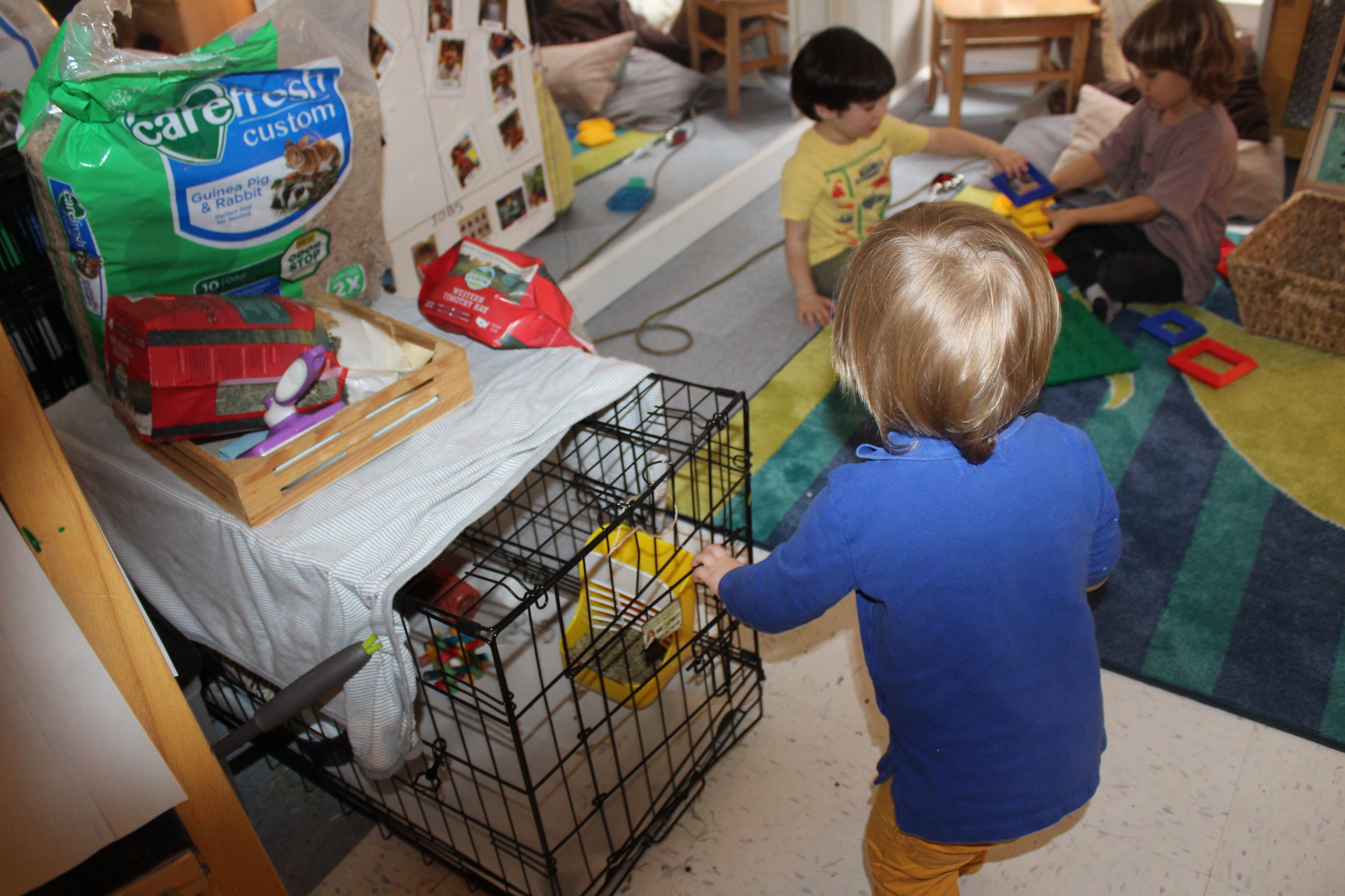  Harry discovers Pinky's cage and saw his food, water bottle, and some chewing toys.&nbsp;&nbsp; 