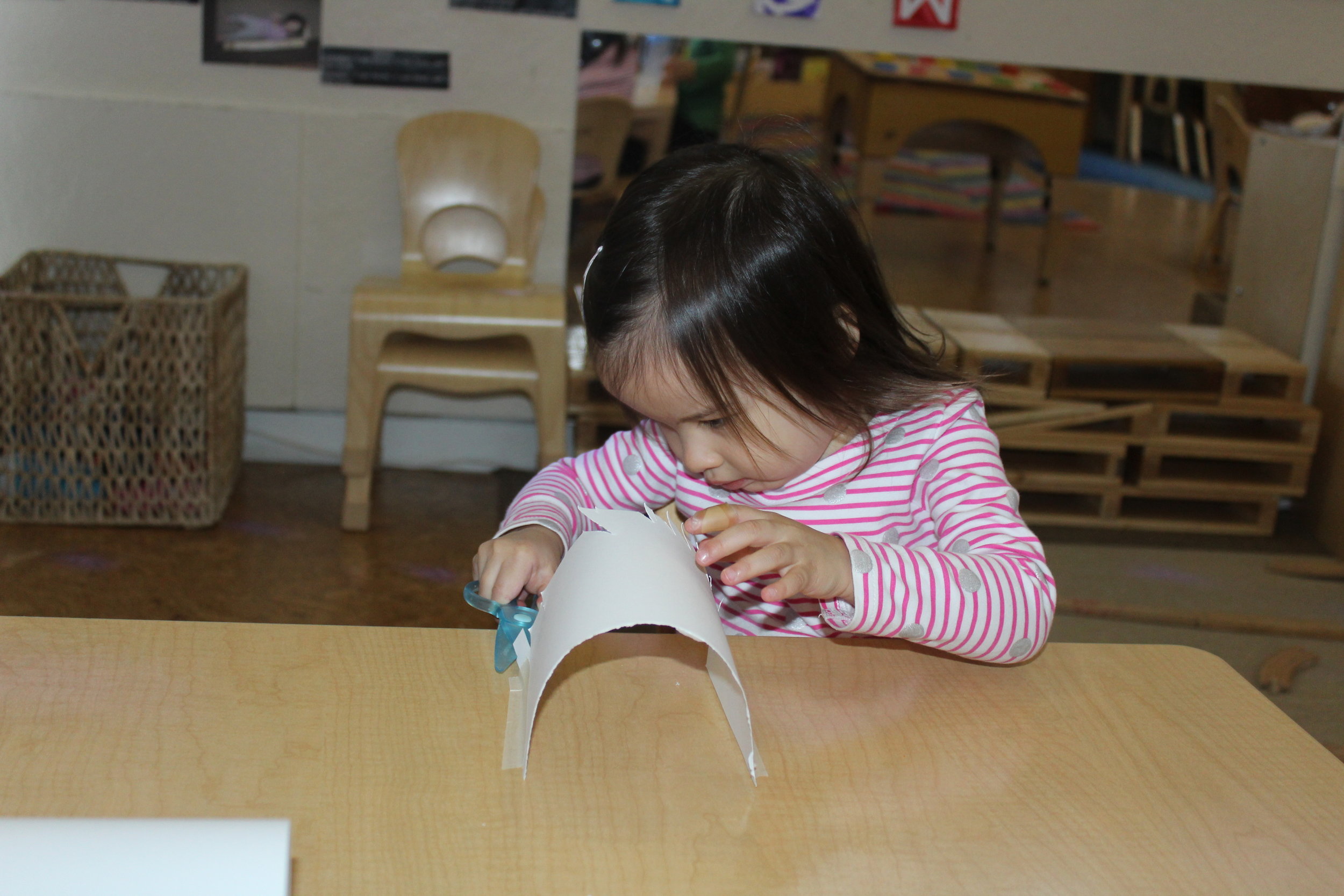  Scissors have two crossed pivoted blades and ring-shaped handles at one end. &nbsp;As toddlers (18-24 months) engage in using their small hands to open and close the blades of the scissors, they will begin to understand how to use them.&nbsp; As he/