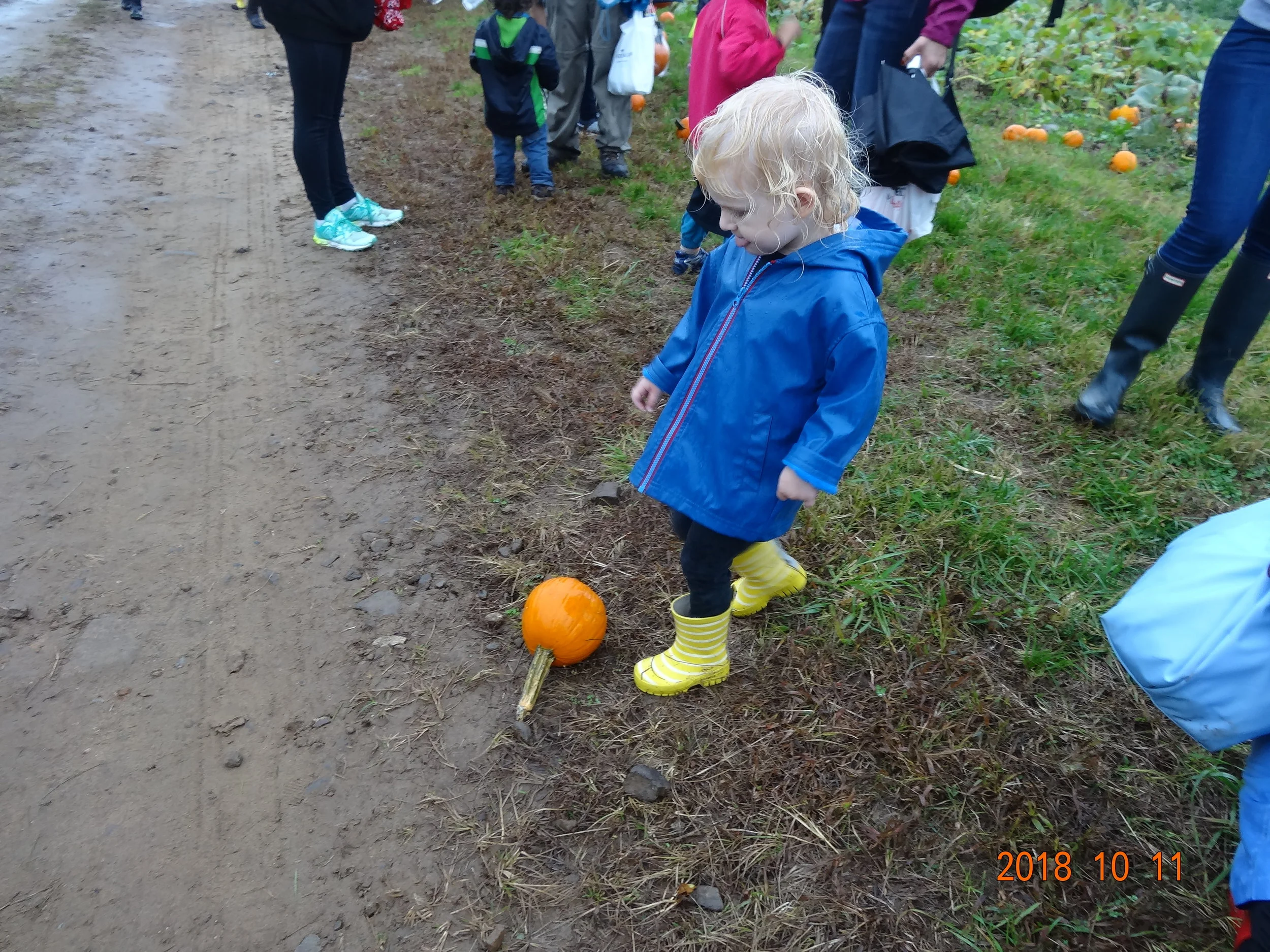 DSC03734.JPG