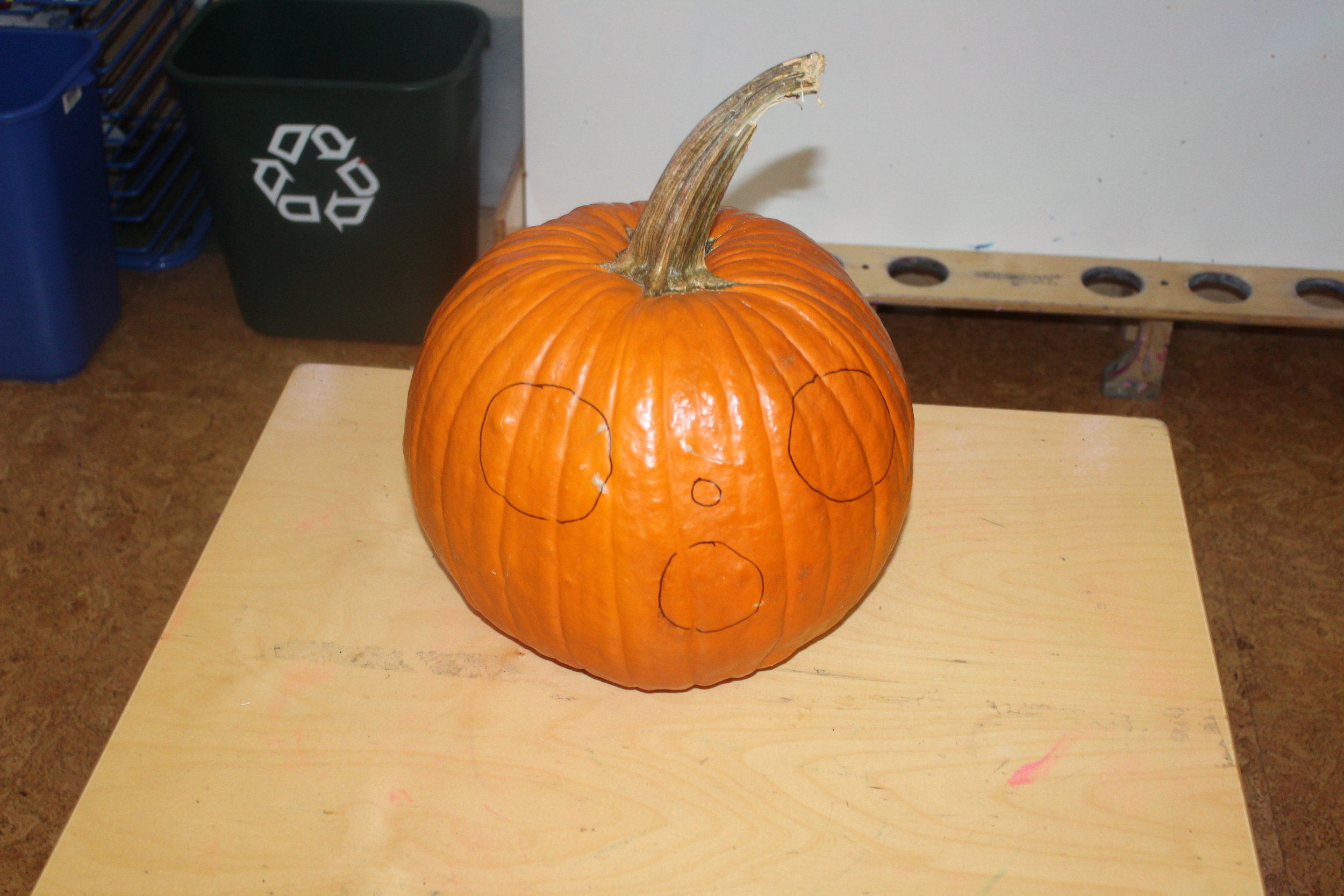 IMG_1859.JPG