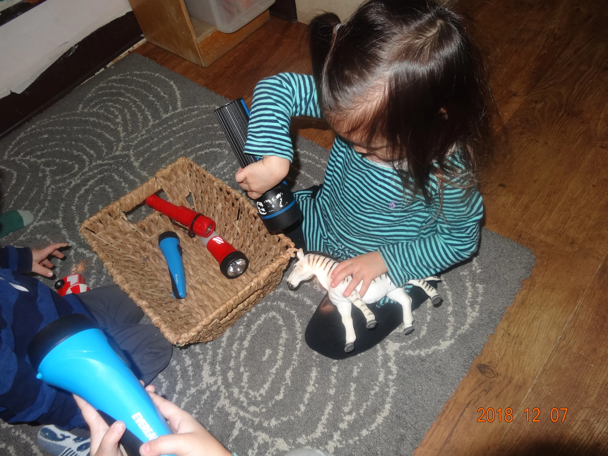 DSC06042.JPG
