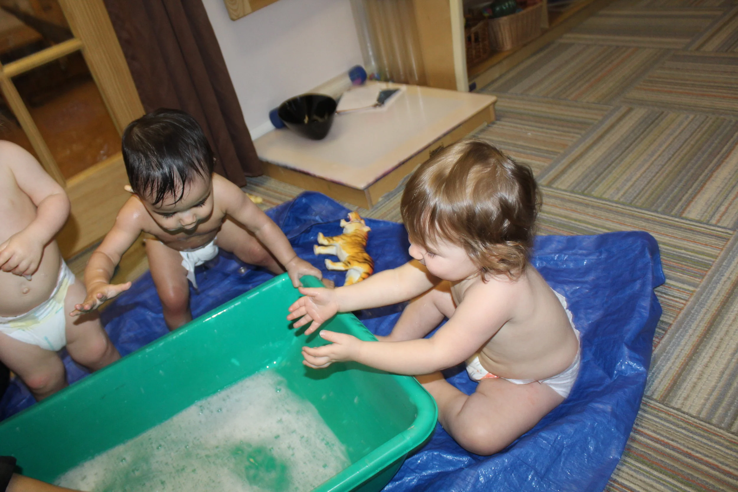 IMG_5116.JPG