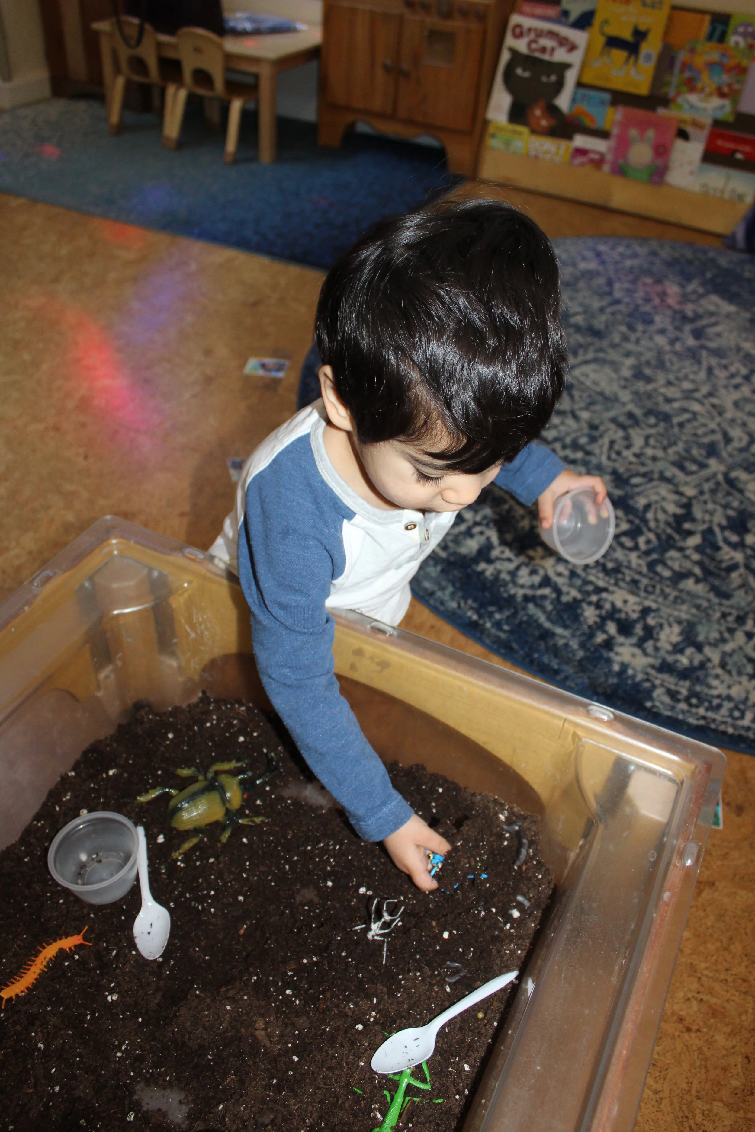  The children were excited to explore soil! The soil is one of the natural element for planting. They squeezed, touched, clutch some in their hands to pour it into a cup. They scooped and emptied small cups. We also included some props in the soil, t