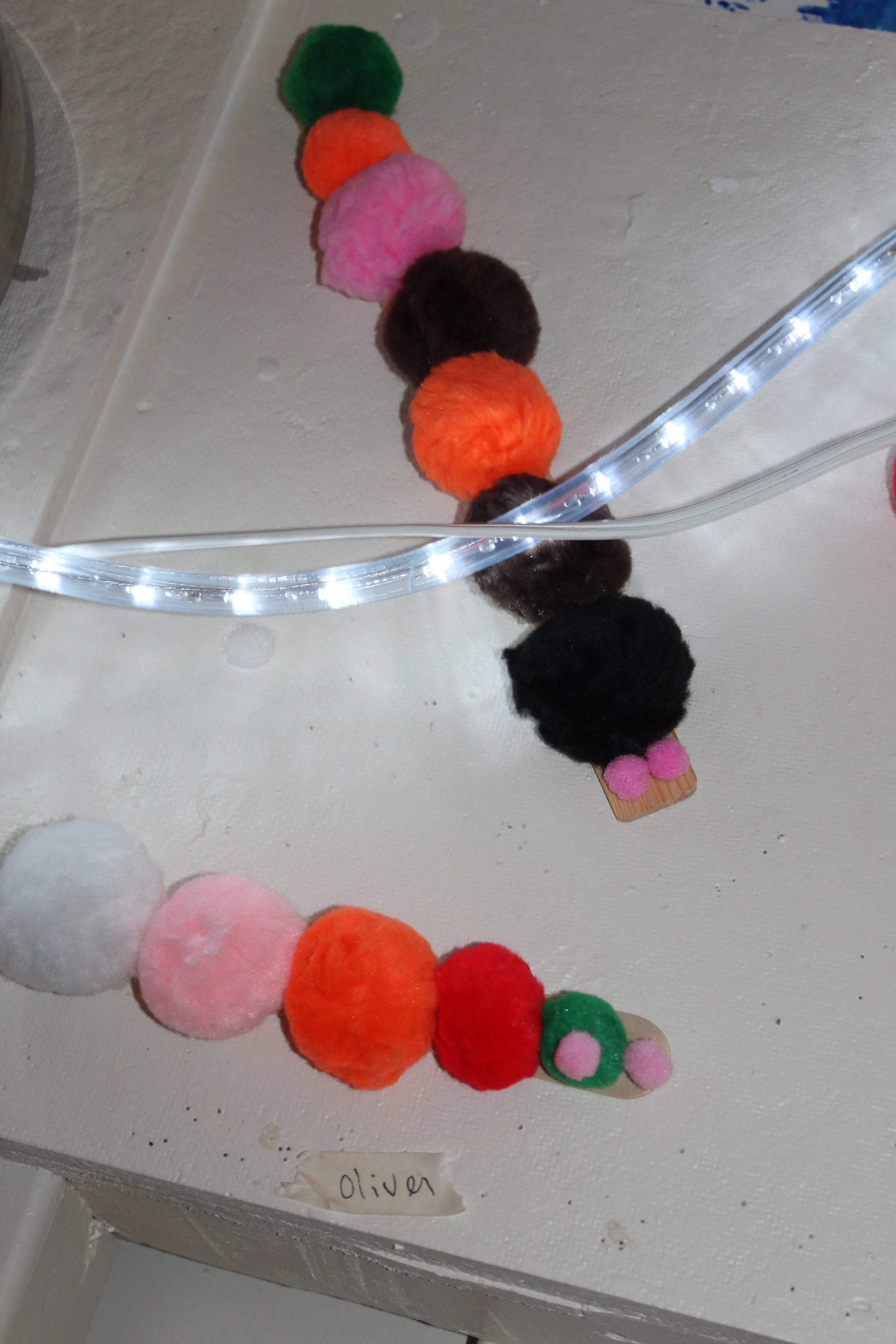  James and Oliver’s caterpillar.   
