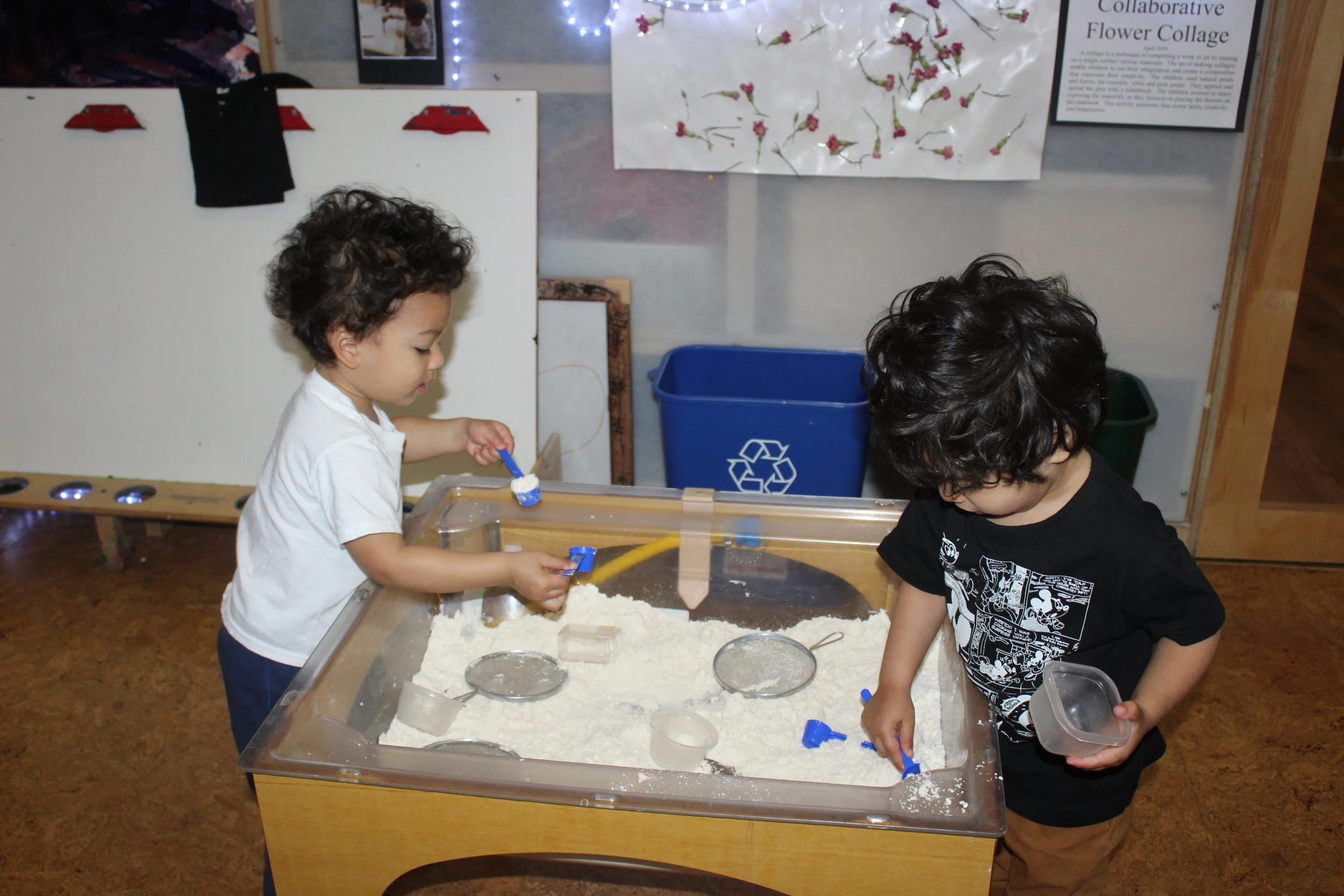  This smooth and powdery texture is inviting to the children. Pouring, scooping, filling cups, and pretending to cook, are the different areas the children are exploring. 