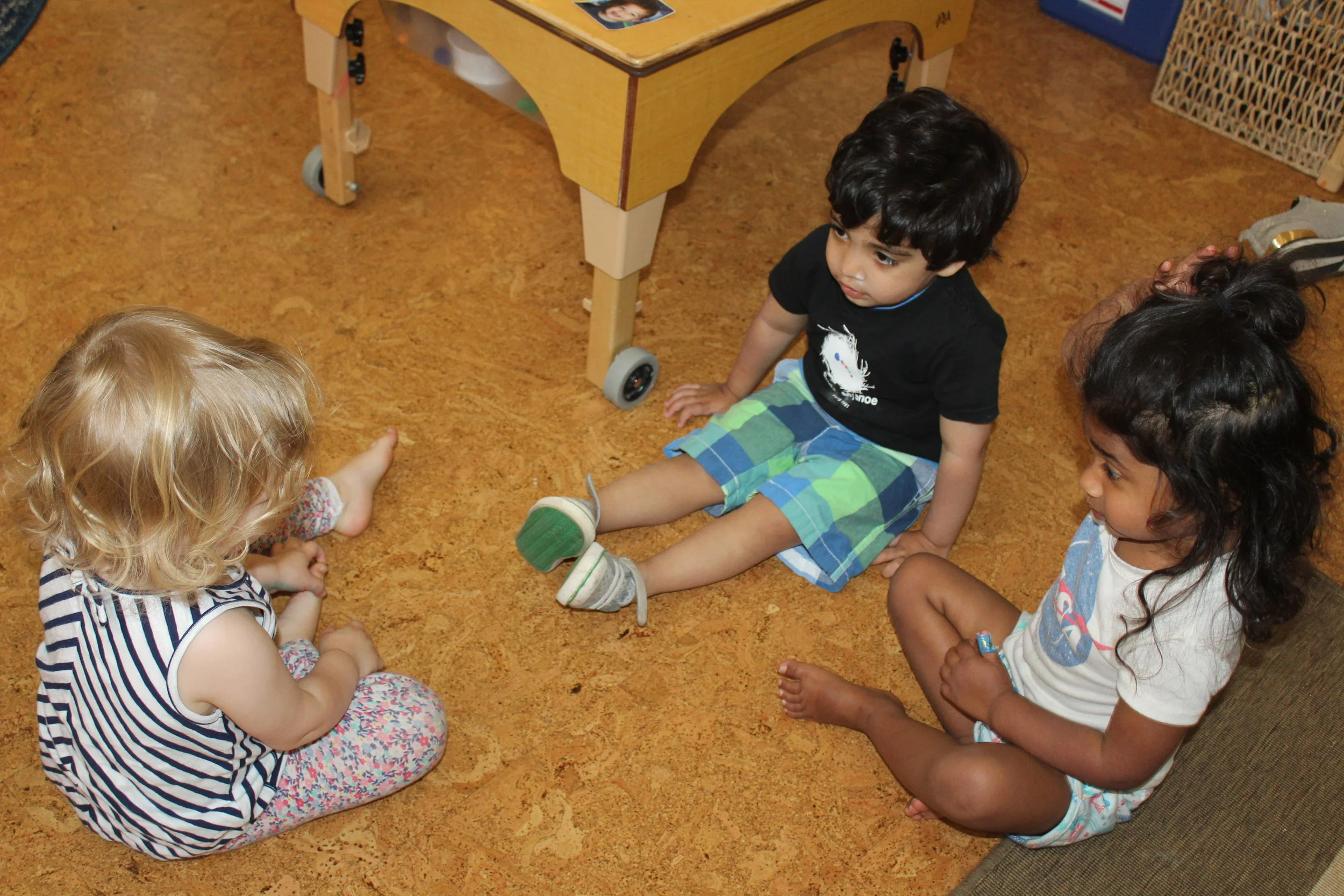 But they did not succeed. The children tried and independently decided to help Rohan   