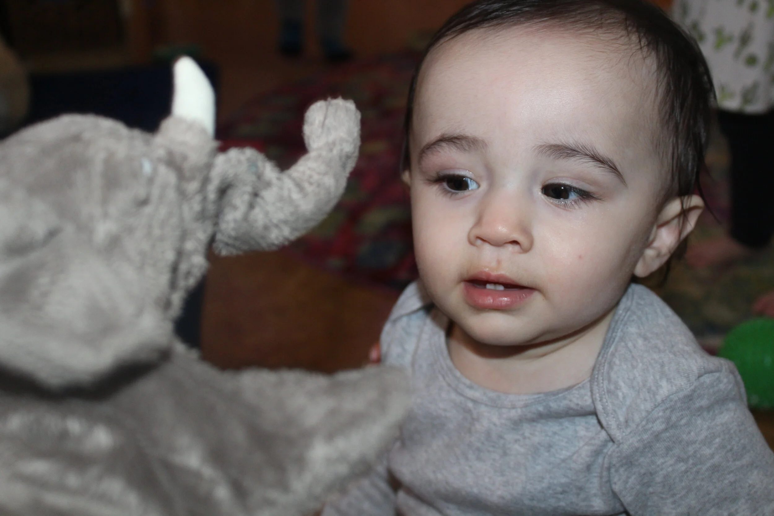 IMG_5537.JPG