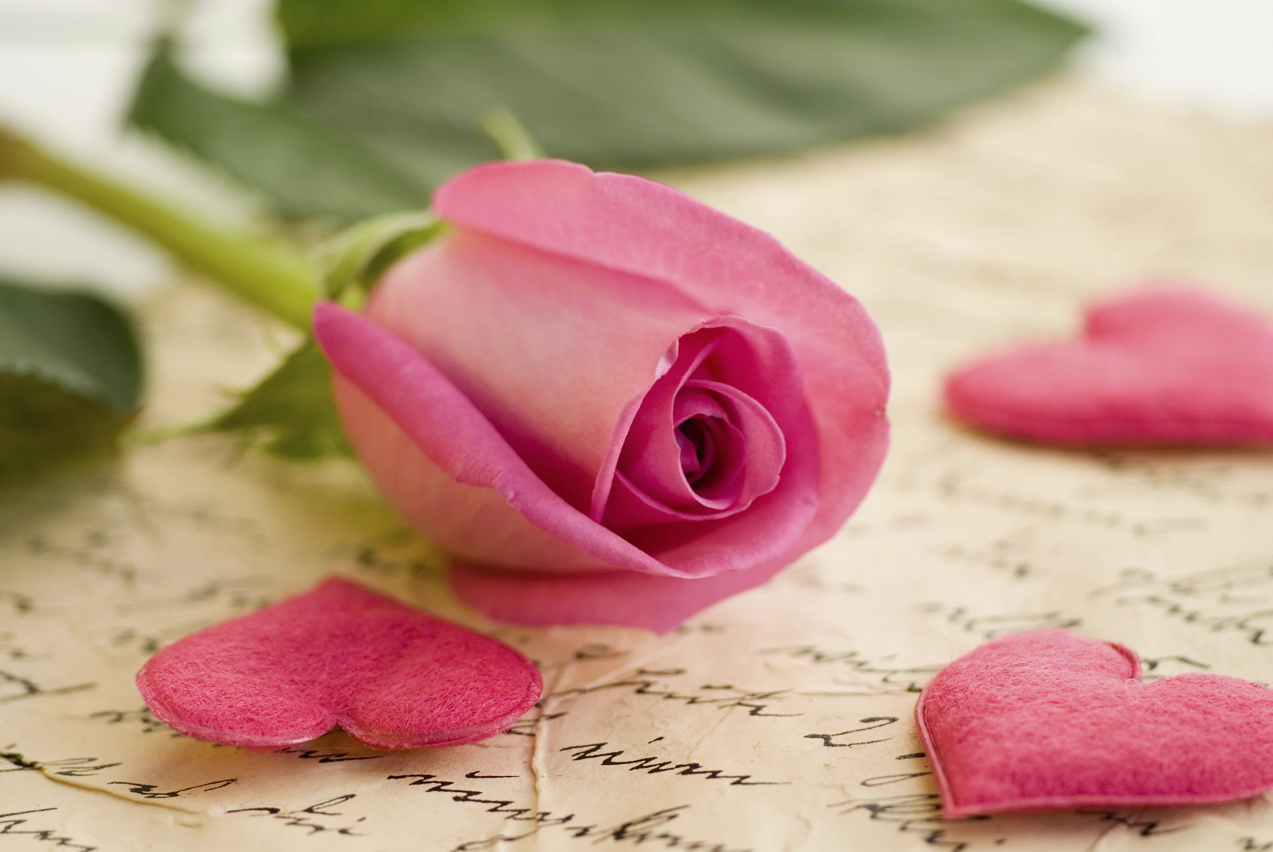 A Real Love Story: Yours (A Message From One Bride to Another)