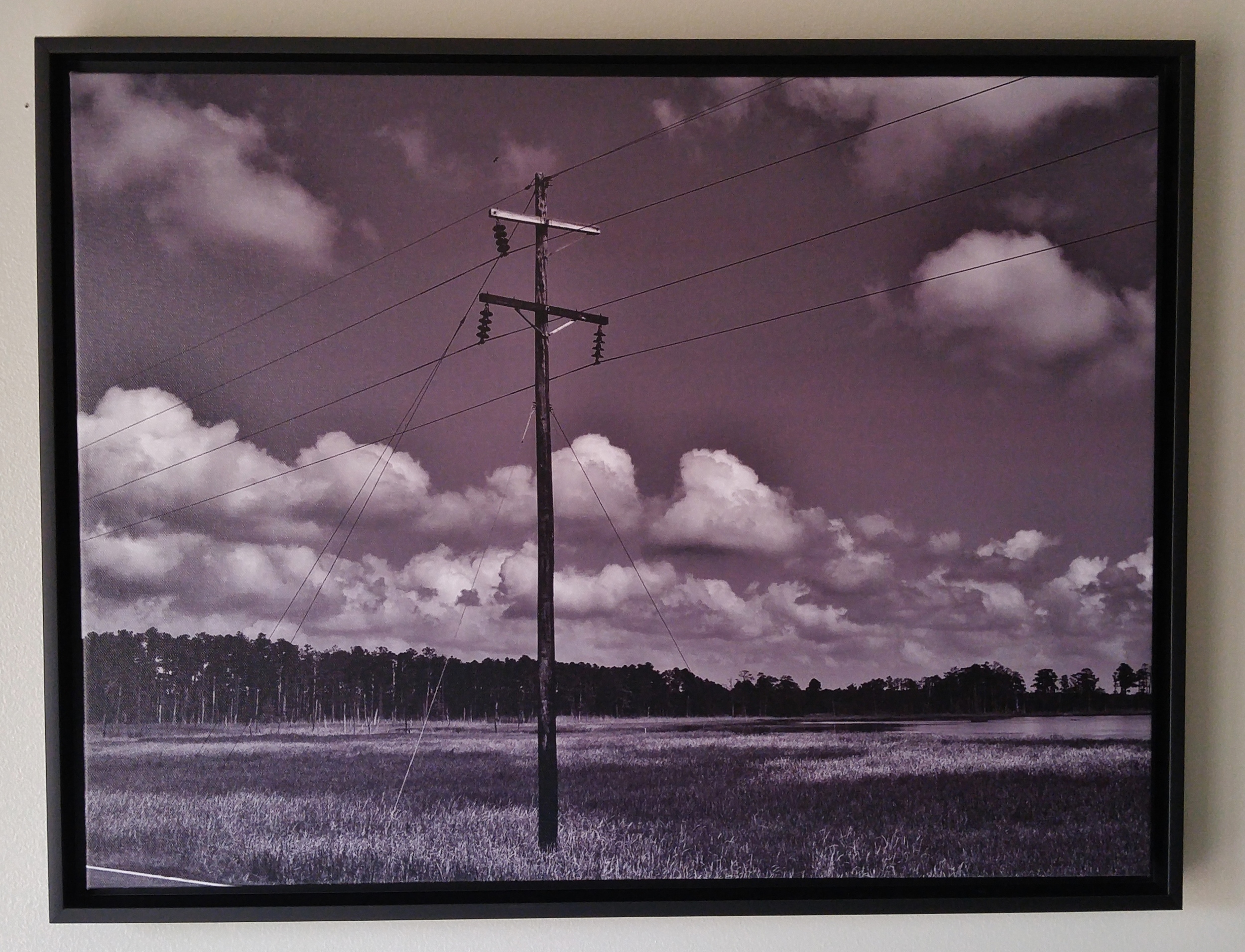 Blackwater Wildlife Refuge (#1) 18" x 24" Stretched/19.5" x 25.5" Framed