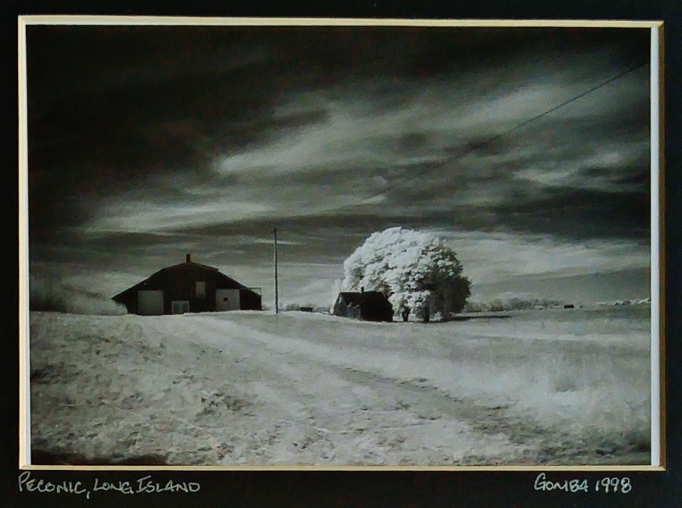 I won my first photography award in 1998 with this image I took out in the wine country on Long Island, NY.