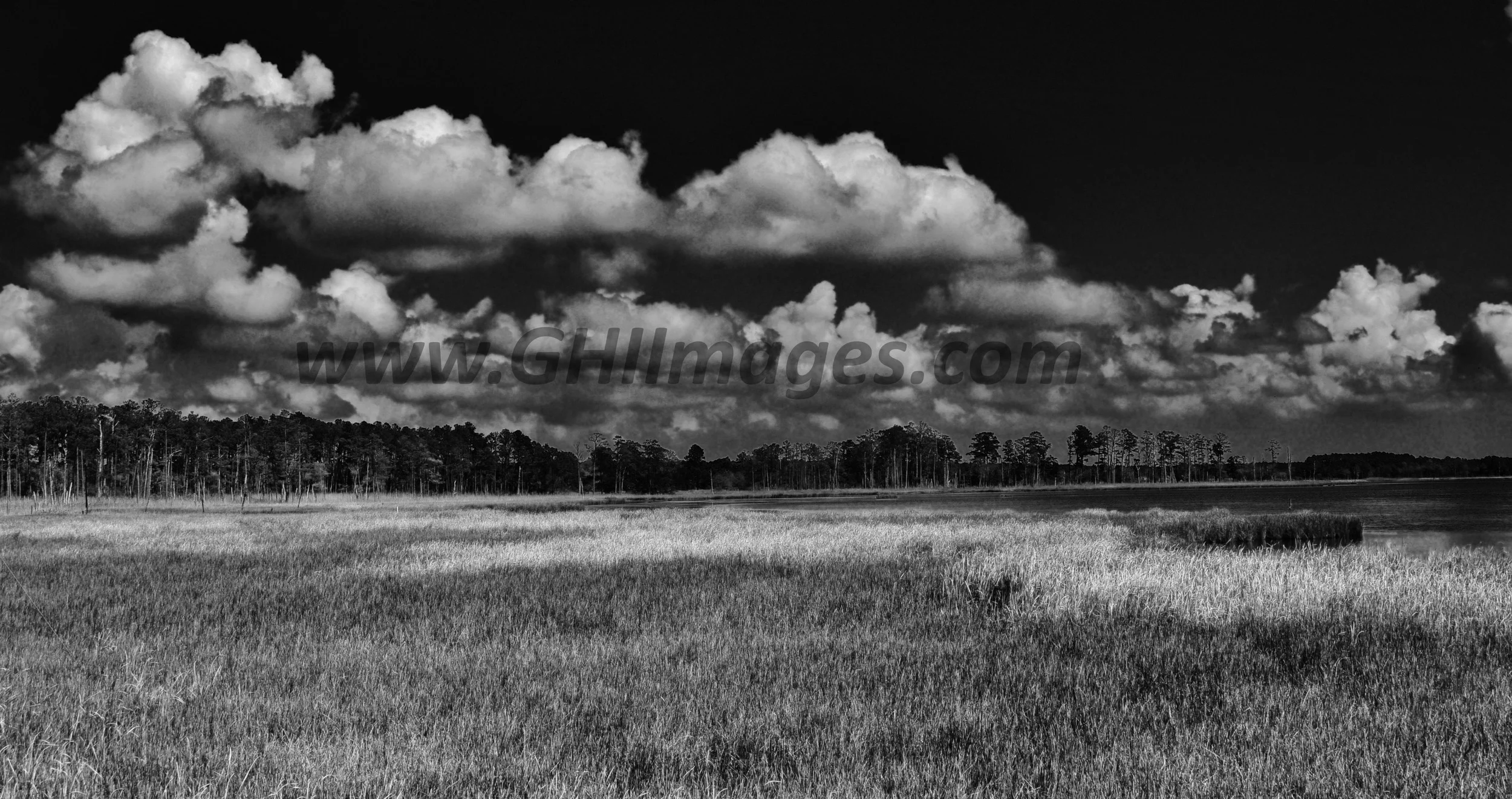 Blackwater National Wildlife Refuge (#1) Church Creek, Maryland