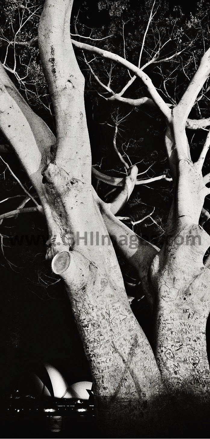 Sydney Opera House_2002_(3WM).jpg