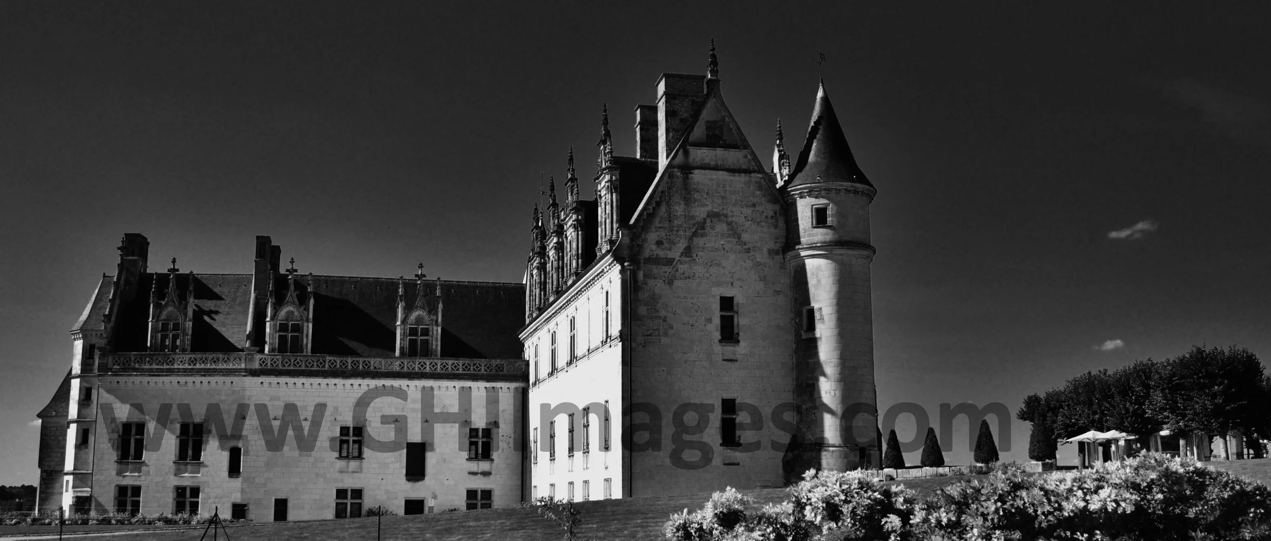 Chateau d'Amboise_B&W_2015_(5WM).jpg