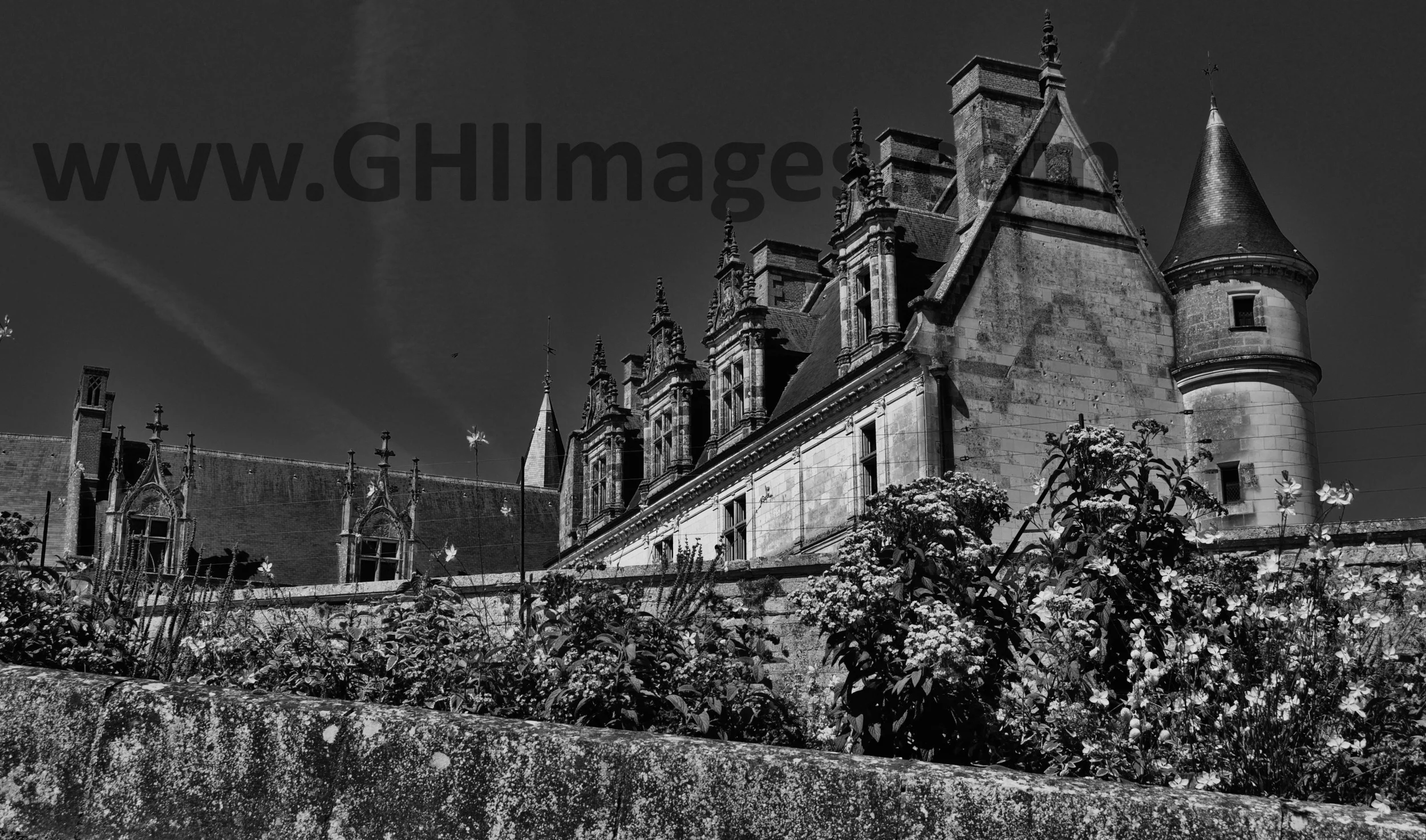 Chateau d'Amboise_B&W_2015_(2WM).jpg