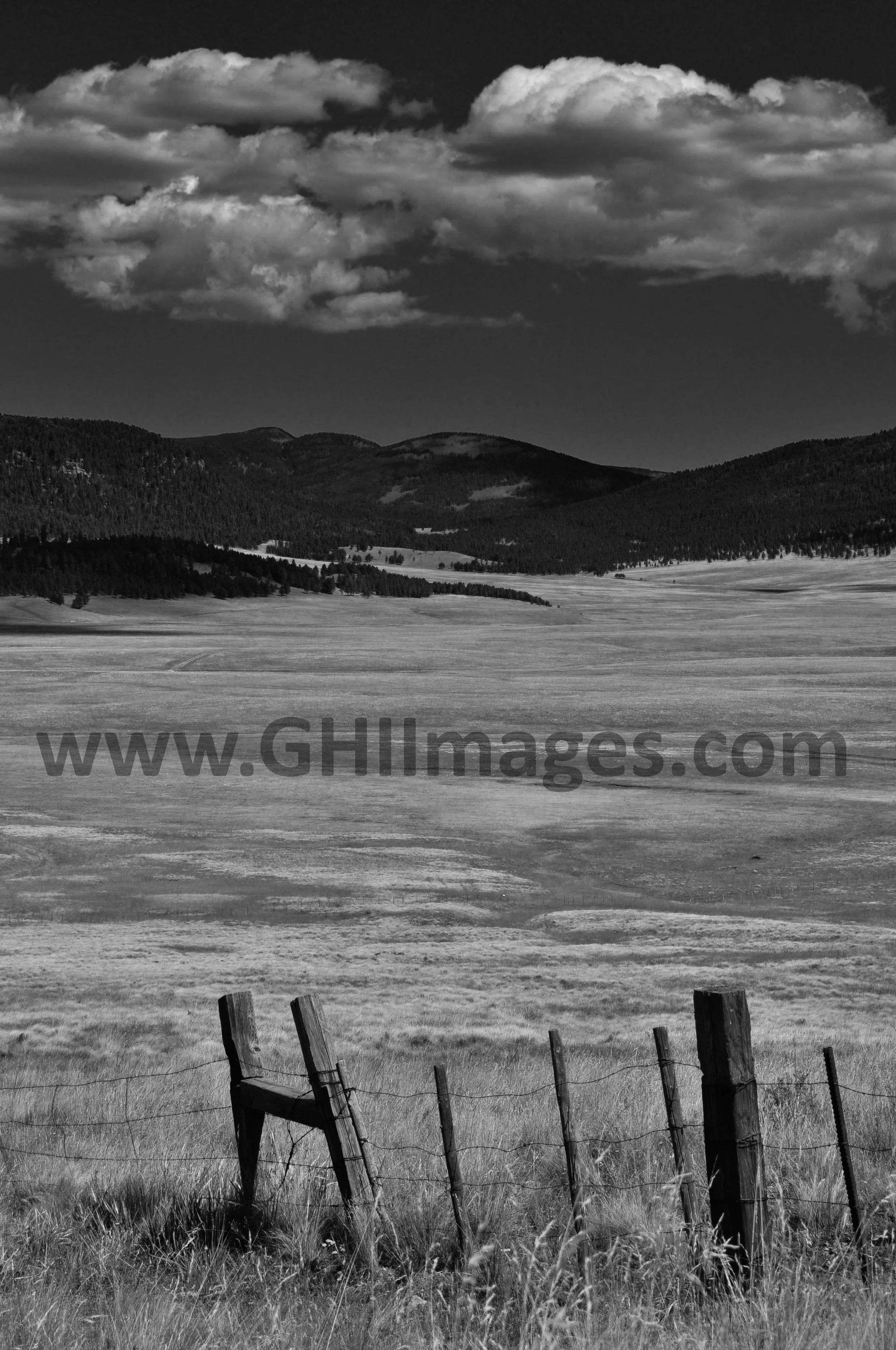 New Mexico_B&W_2010_(3WM).jpg