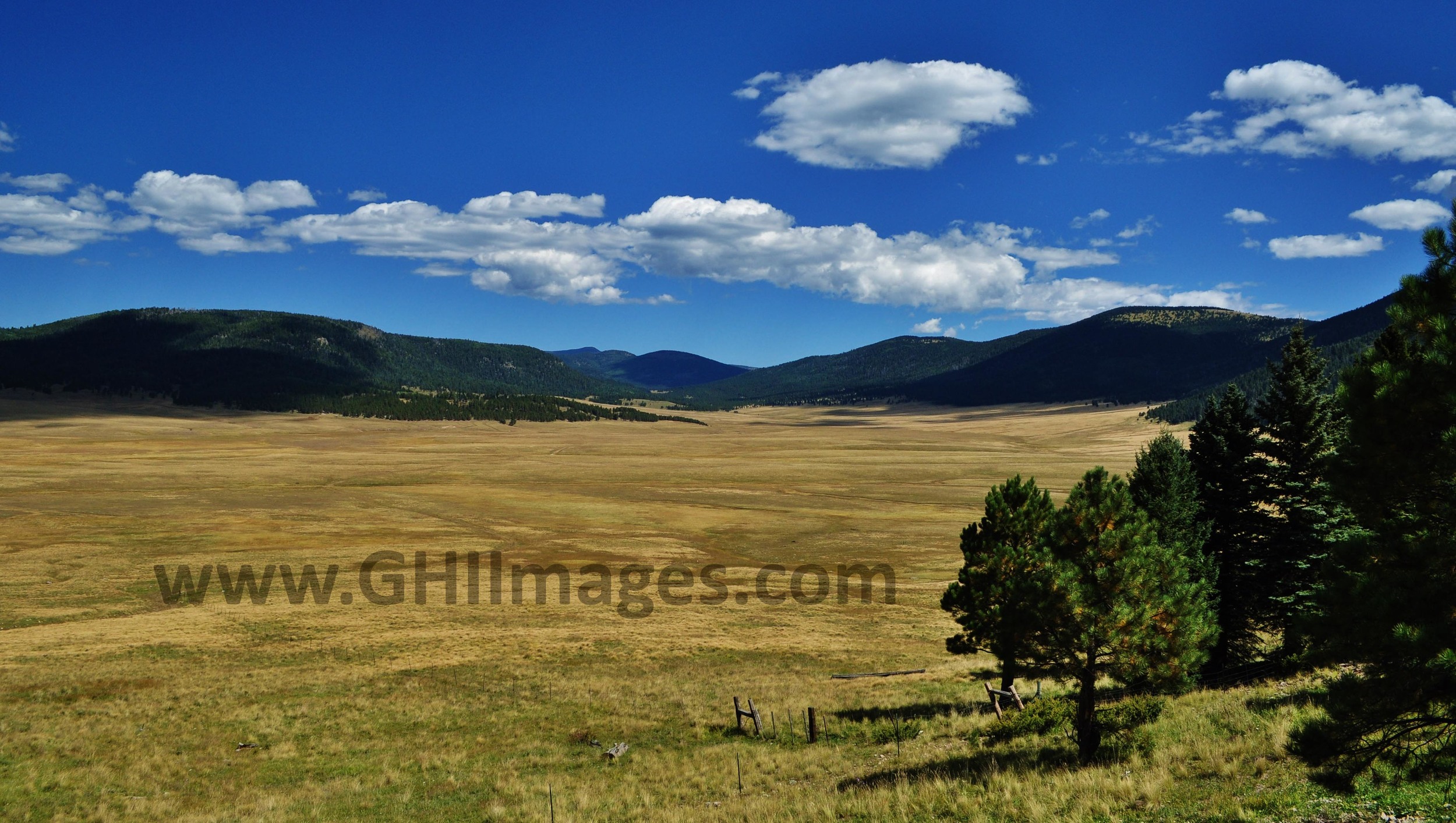 New Mexico_Color_2010_(6WM).jpg