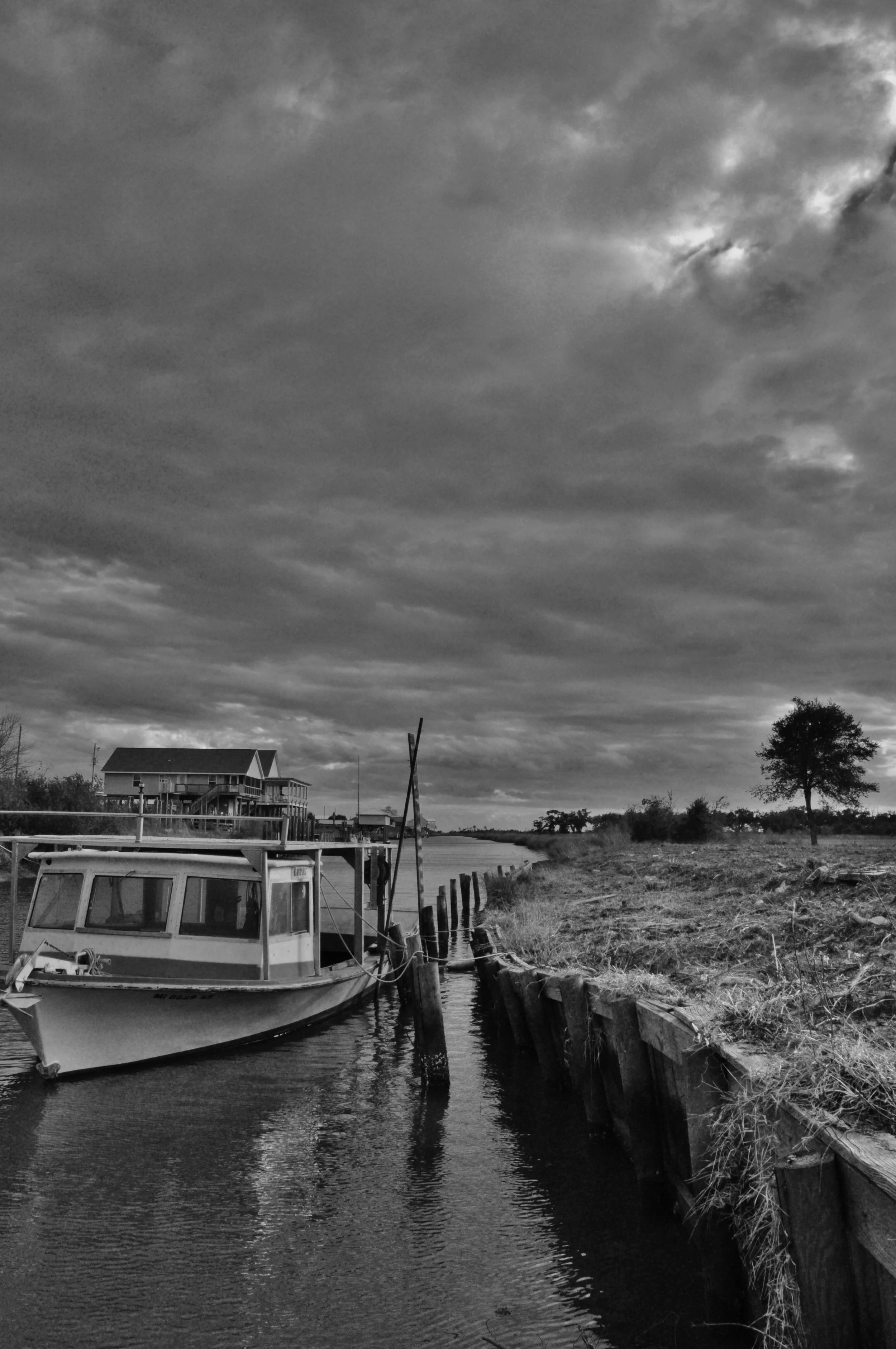 Lakeshore MS_1_(1-22-2017).JPG