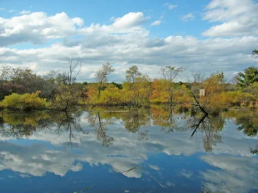 The Five Rivers Environmental Education Center